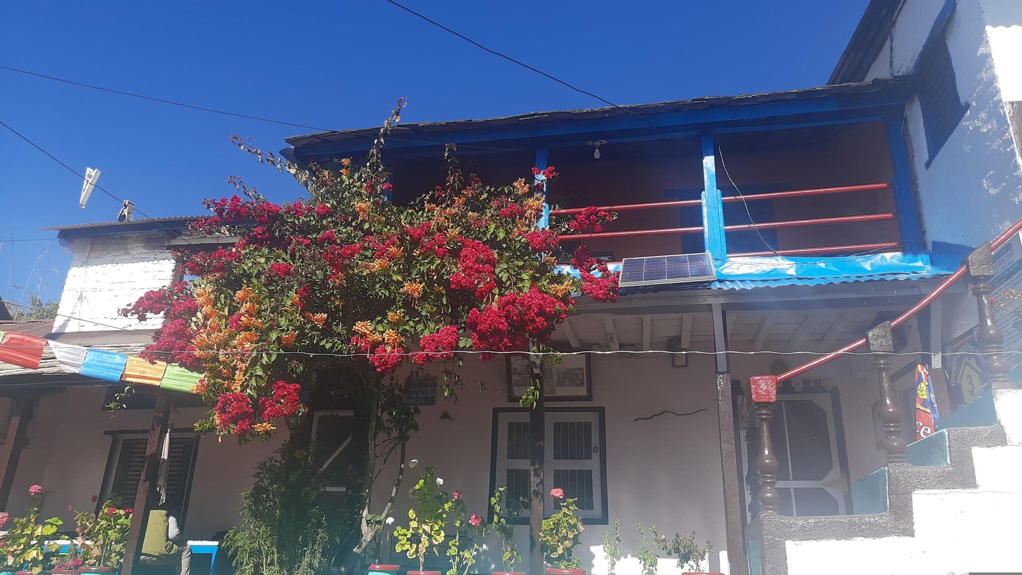 Street view near Sirubari Homestay,House No.3, Kusma — © ShresthaShristi (CC BY-SA · Mapillary)