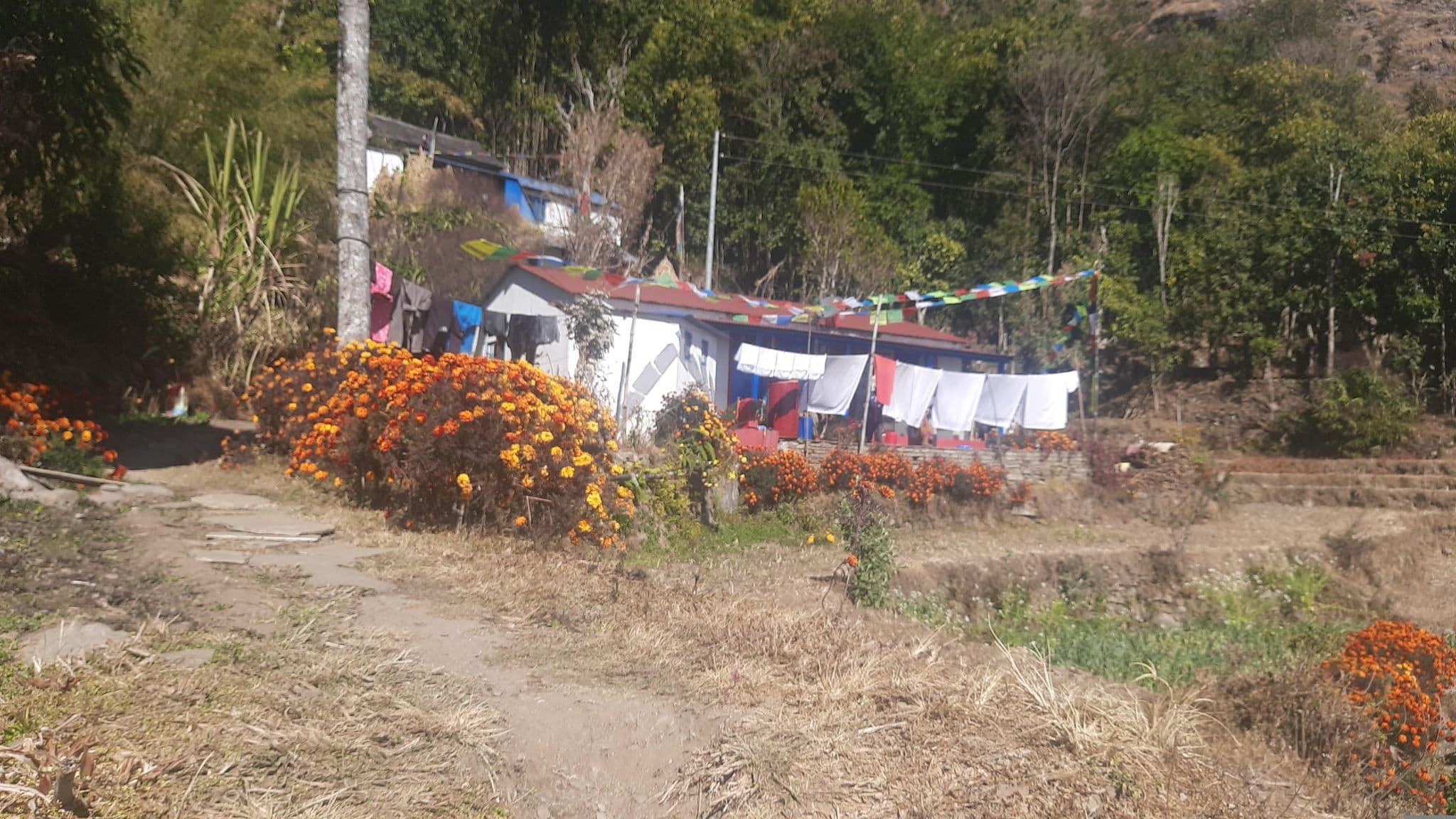 Street view near Sirubari Homestay, House No. 44, Kusma — © ShresthaShristi (CC BY-SA · Mapillary)