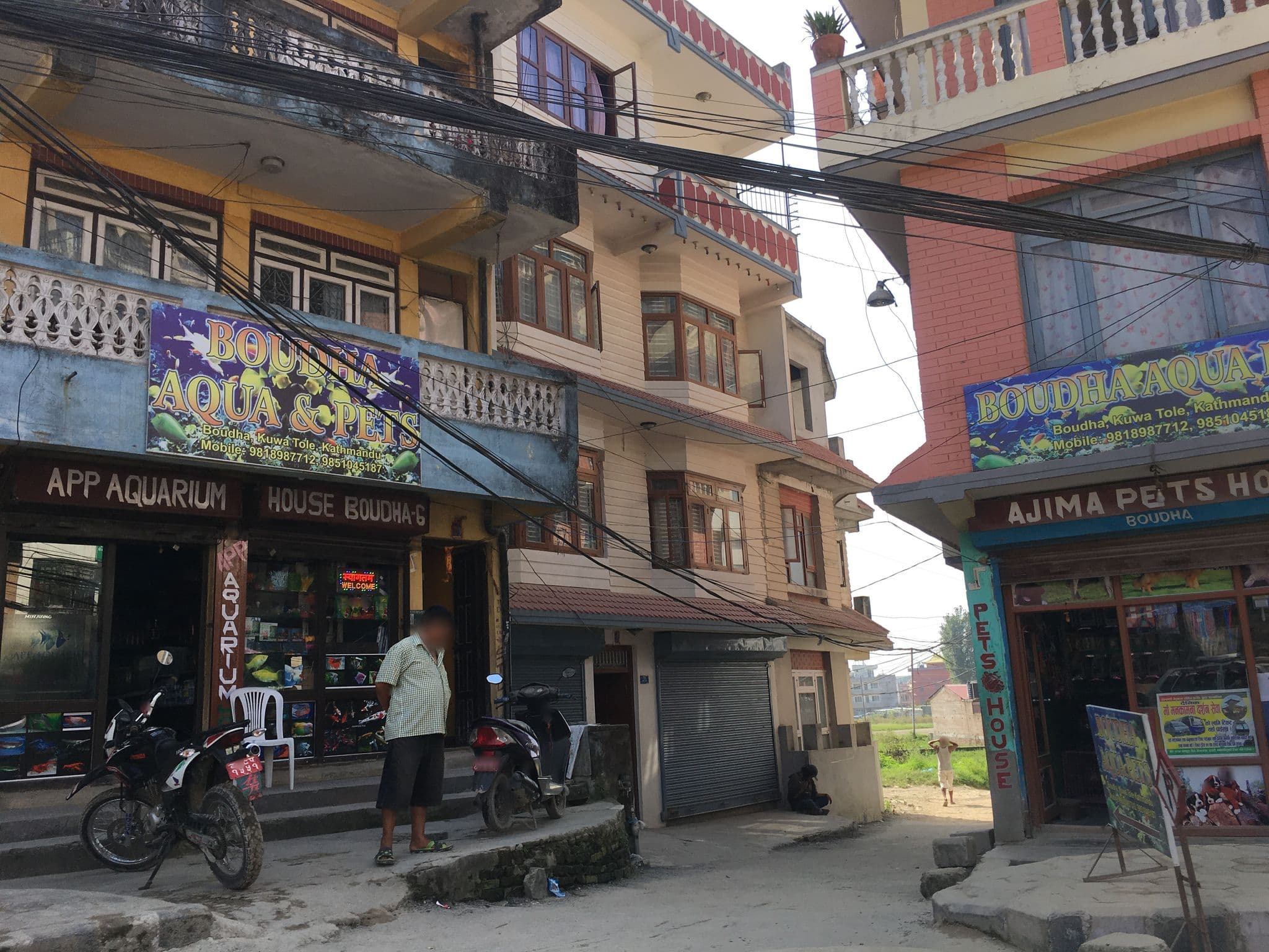 Street view near Dzambala apartments (Home), Kathmandu — © misa (CC BY-SA · Mapillary)