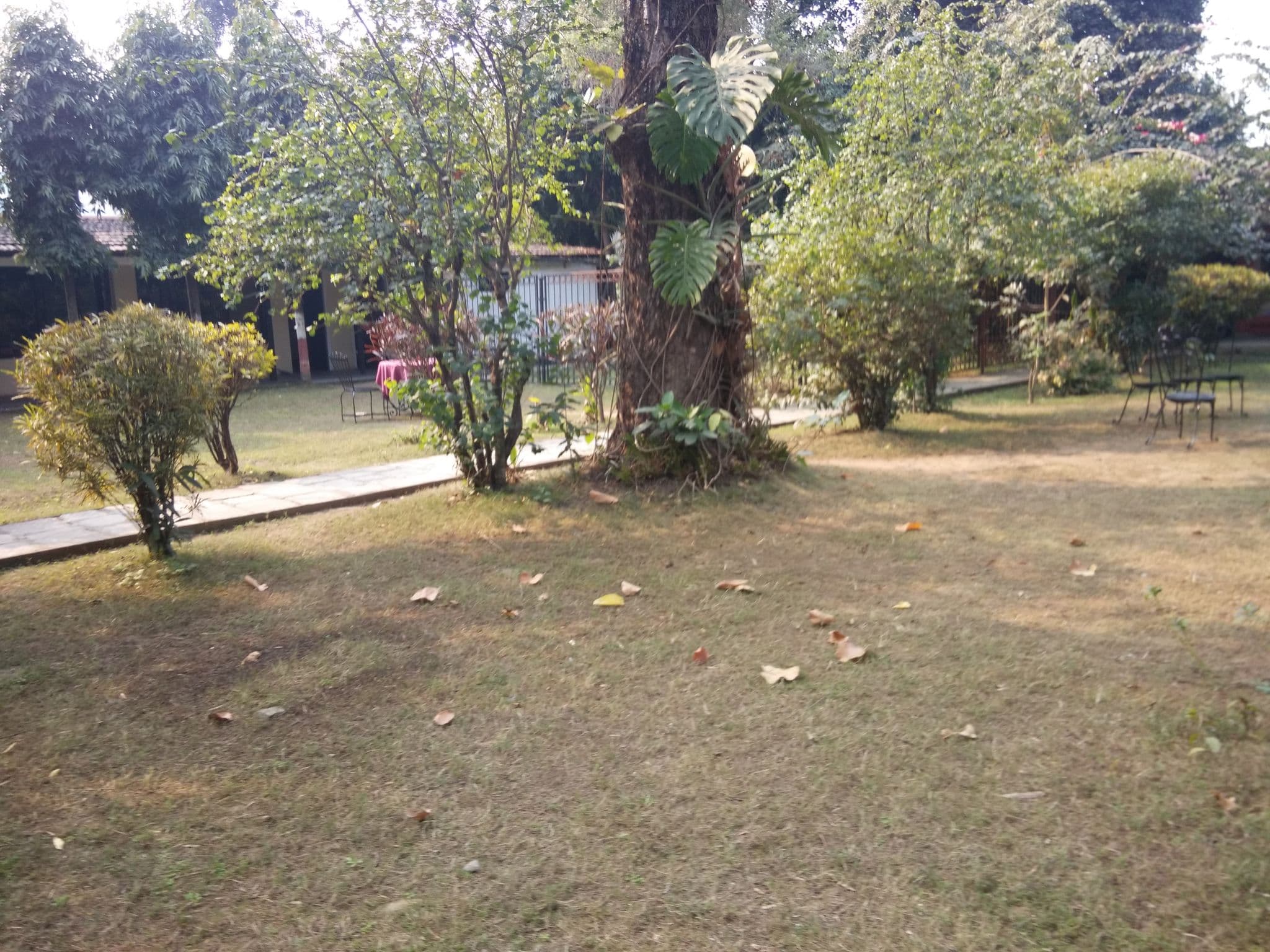Street view near Island Jungle Resort, Bharatpur