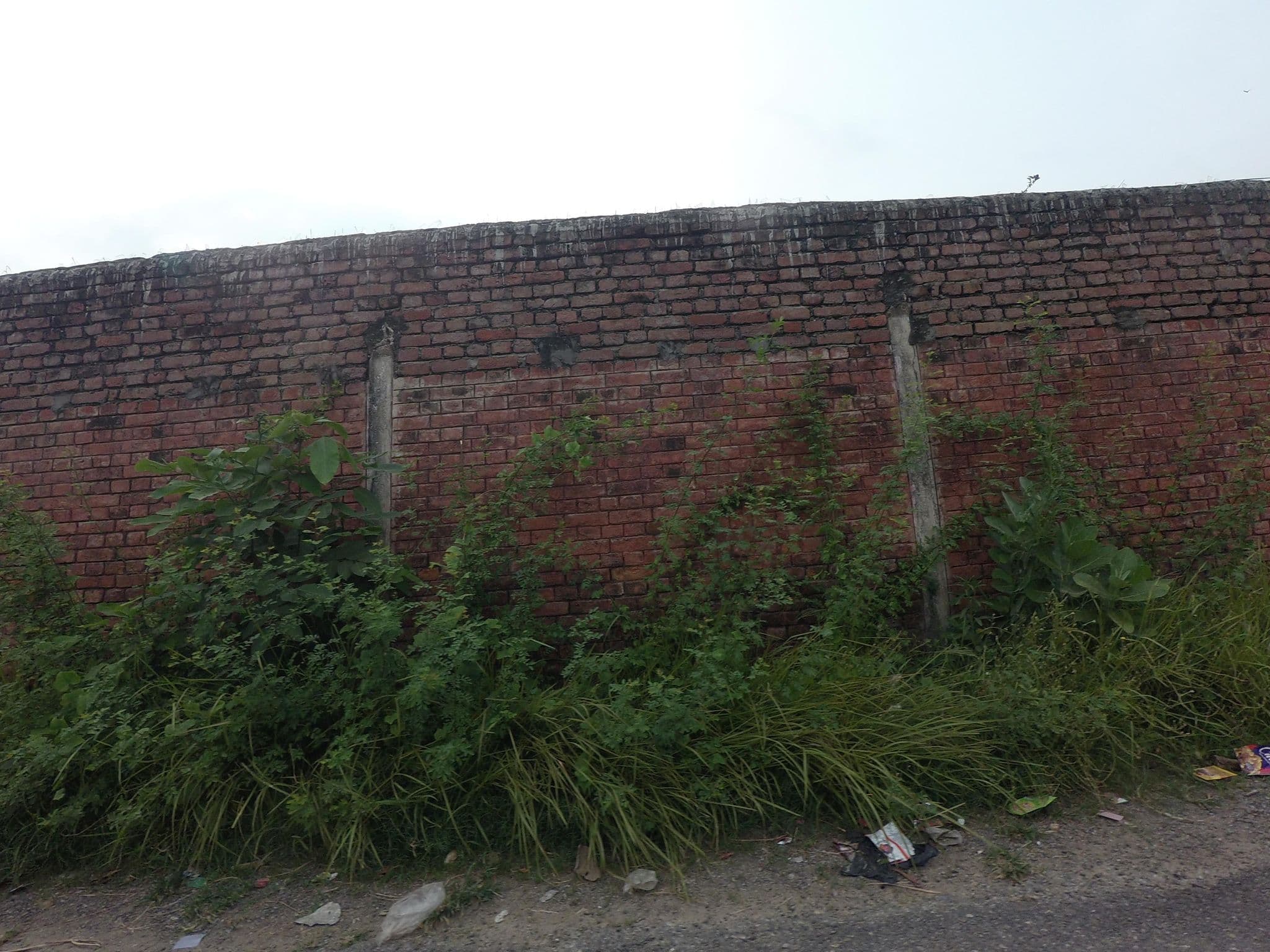 Street view near Sagarmath boys hostel, Siddharthanagar — © gauravparajuli09 (CC BY-SA · Mapillary)