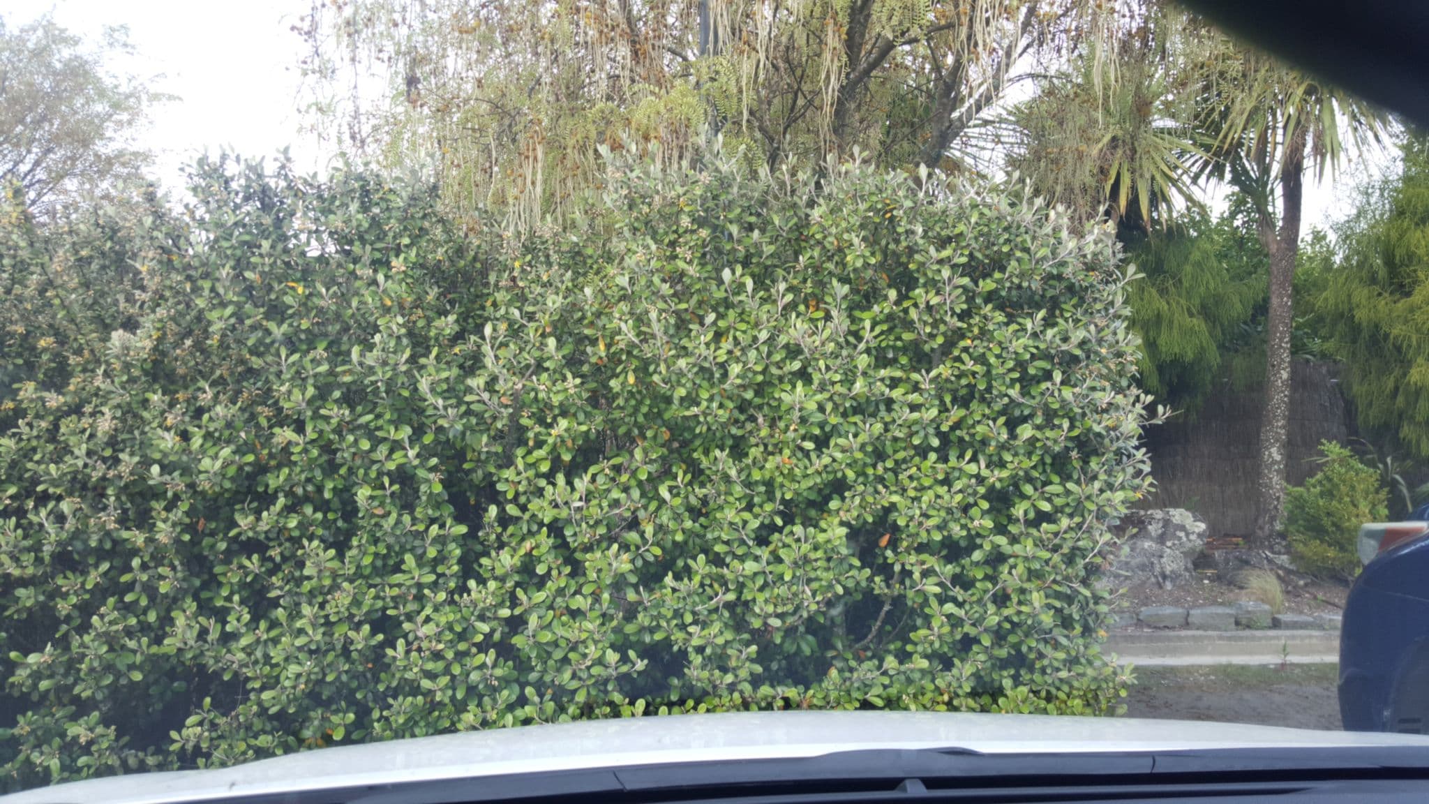 Street view near Lakeland House, Turangi — © brackone (CC BY-SA · Mapillary)