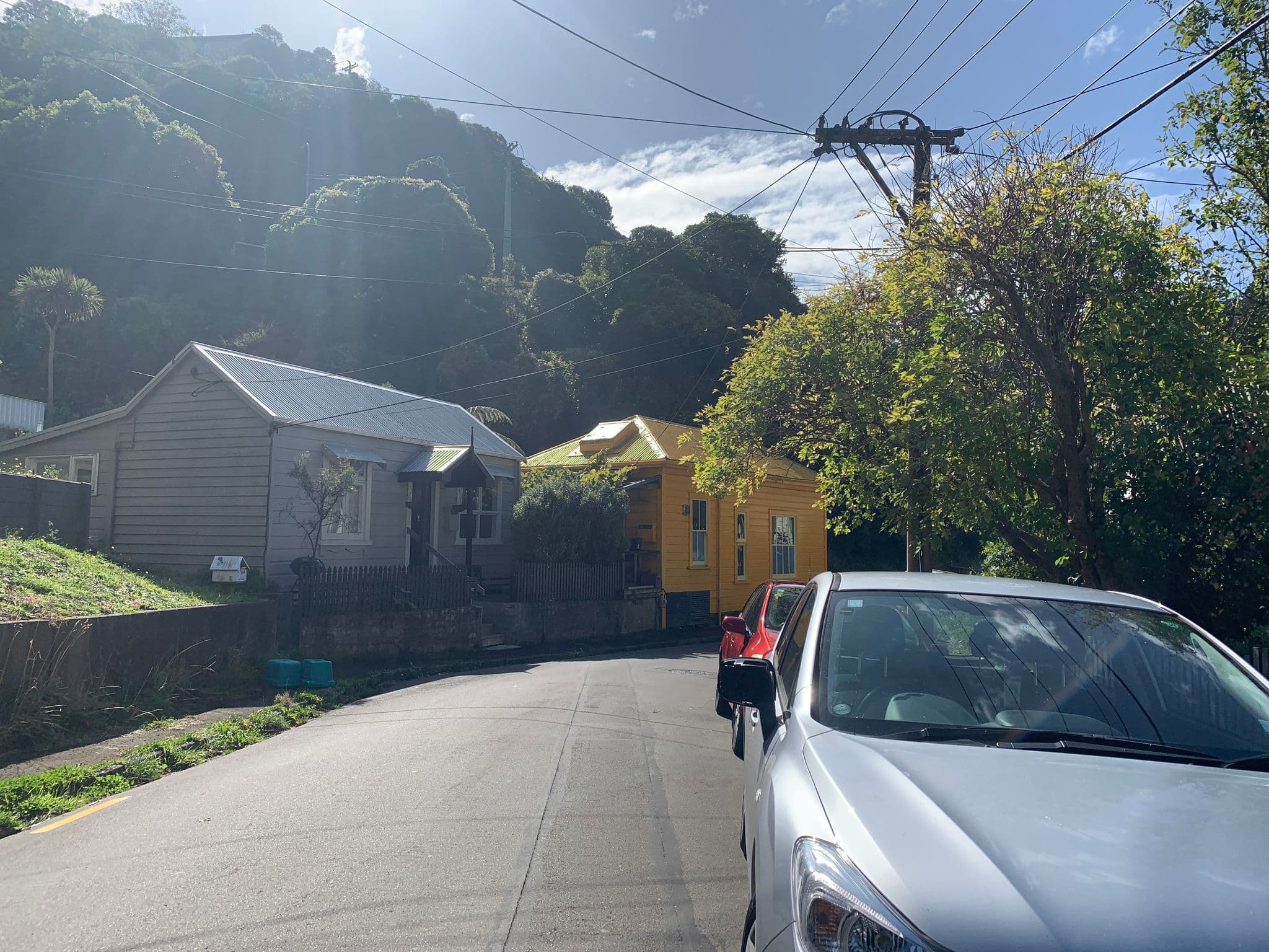 Street view near Millie's Bed and Breakfast, Aro Valley — © nigelramsay (CC BY-SA · Mapillary)