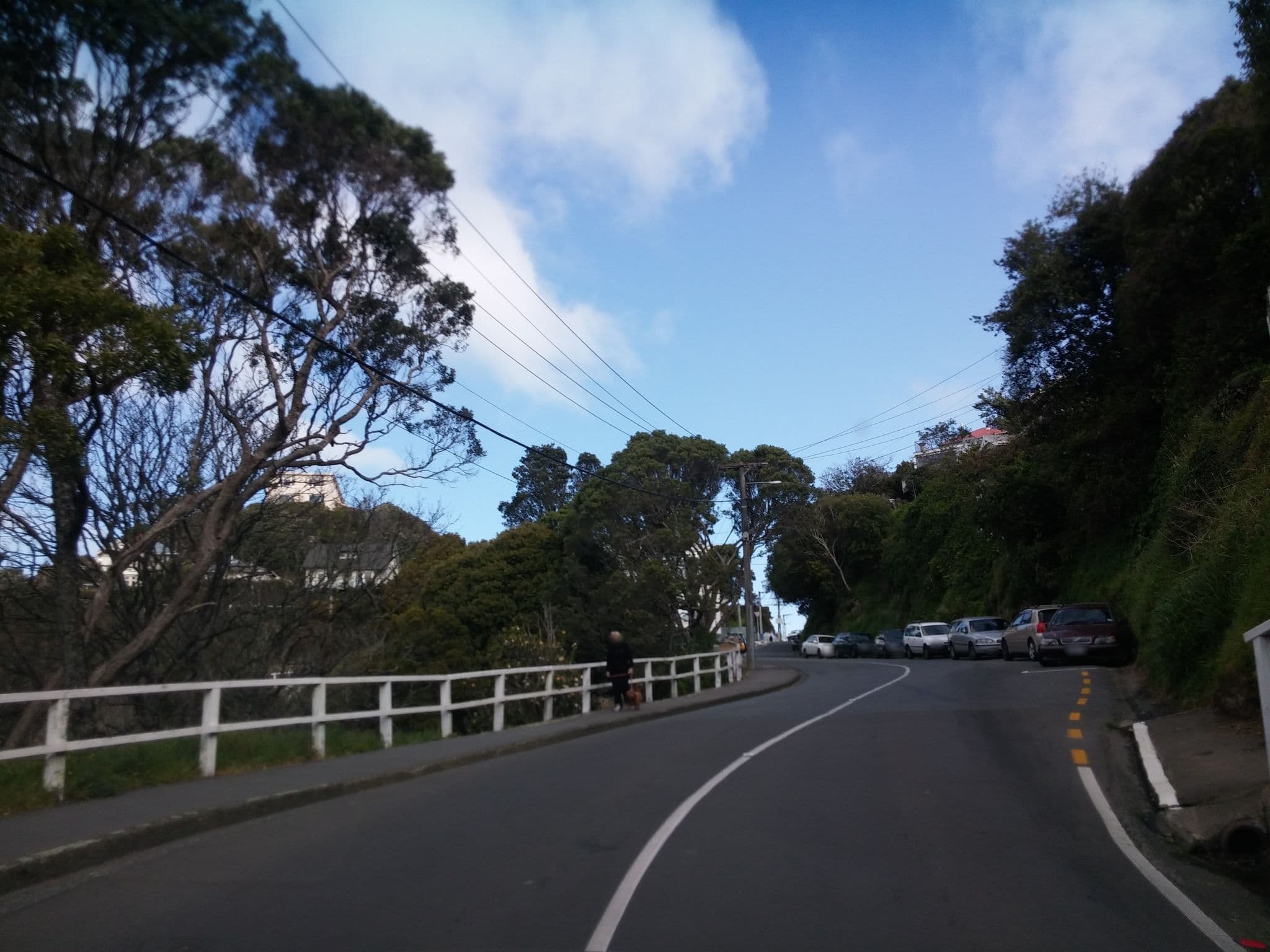 Street view near 122 Ohiro Road, Brooklyn — © nigelramsay (CC BY-SA · Mapillary)