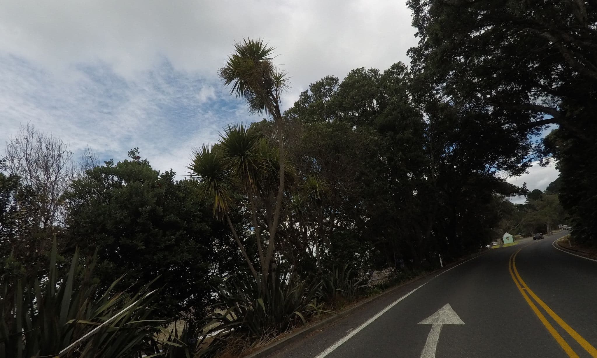 Street view near Tamaterau Campsite, Onerahi — © ralley (CC BY-SA · Mapillary)