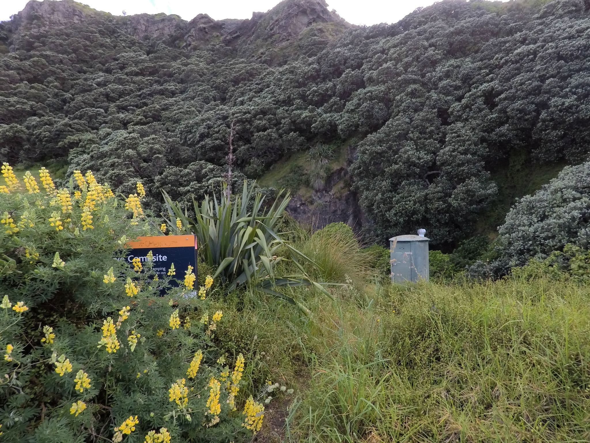 Street view near Whatipu Caves Campground, Piha — © ralley (CC BY-SA · Mapillary)