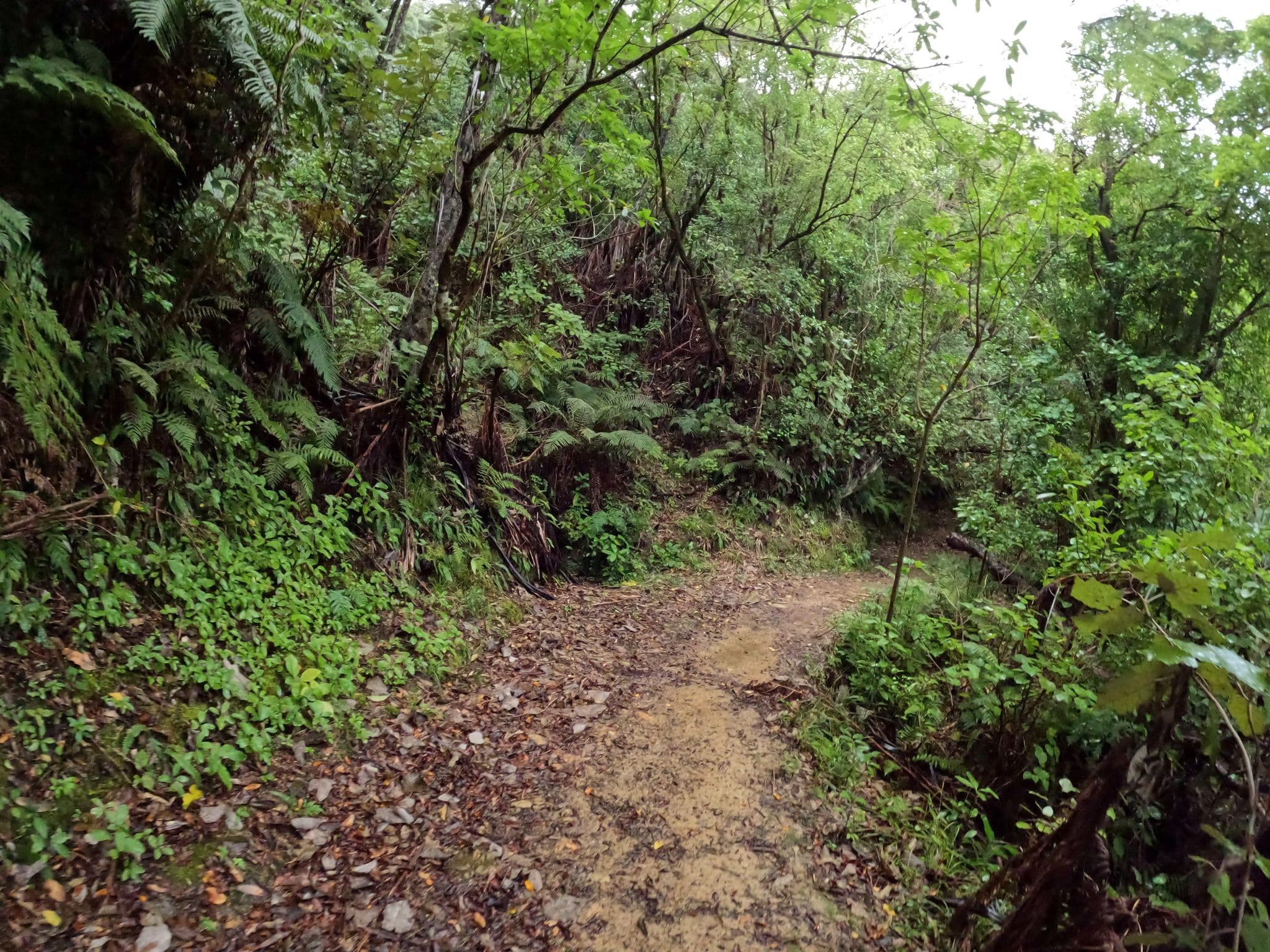 Street view near Blue Water Lodge, Waikawa — © ralley (CC BY-SA · Mapillary)
