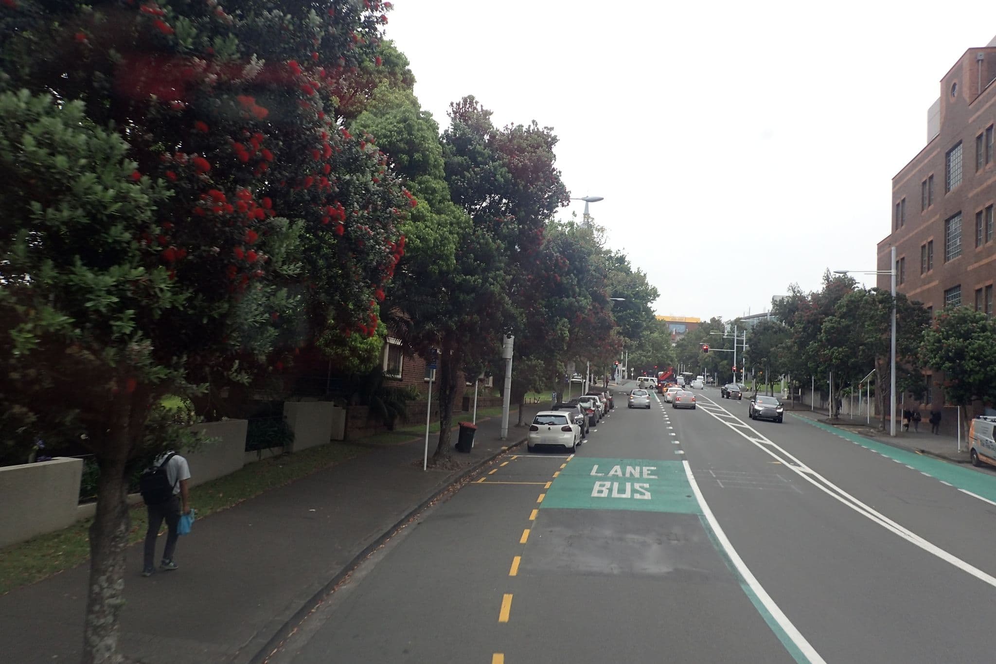 Street view near UniLodge Anzac, Auckland — © coykoi (CC BY-SA · Mapillary)