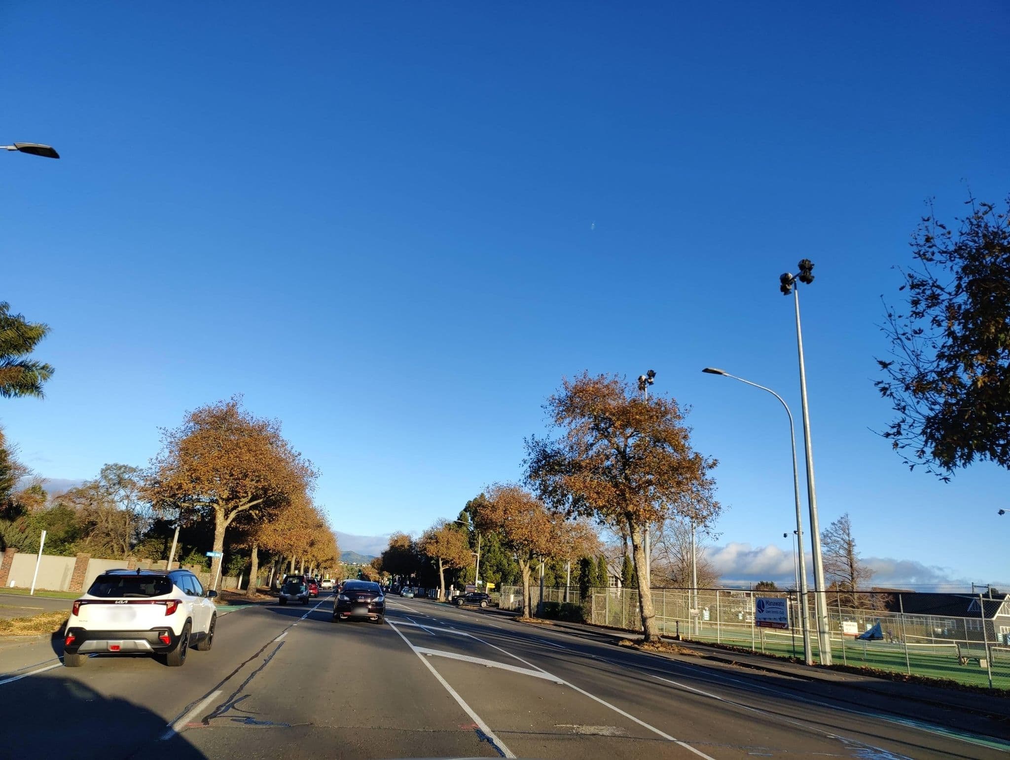 Street view near City Corporate, Palmerston North — © elphix (CC BY-SA · Mapillary)
