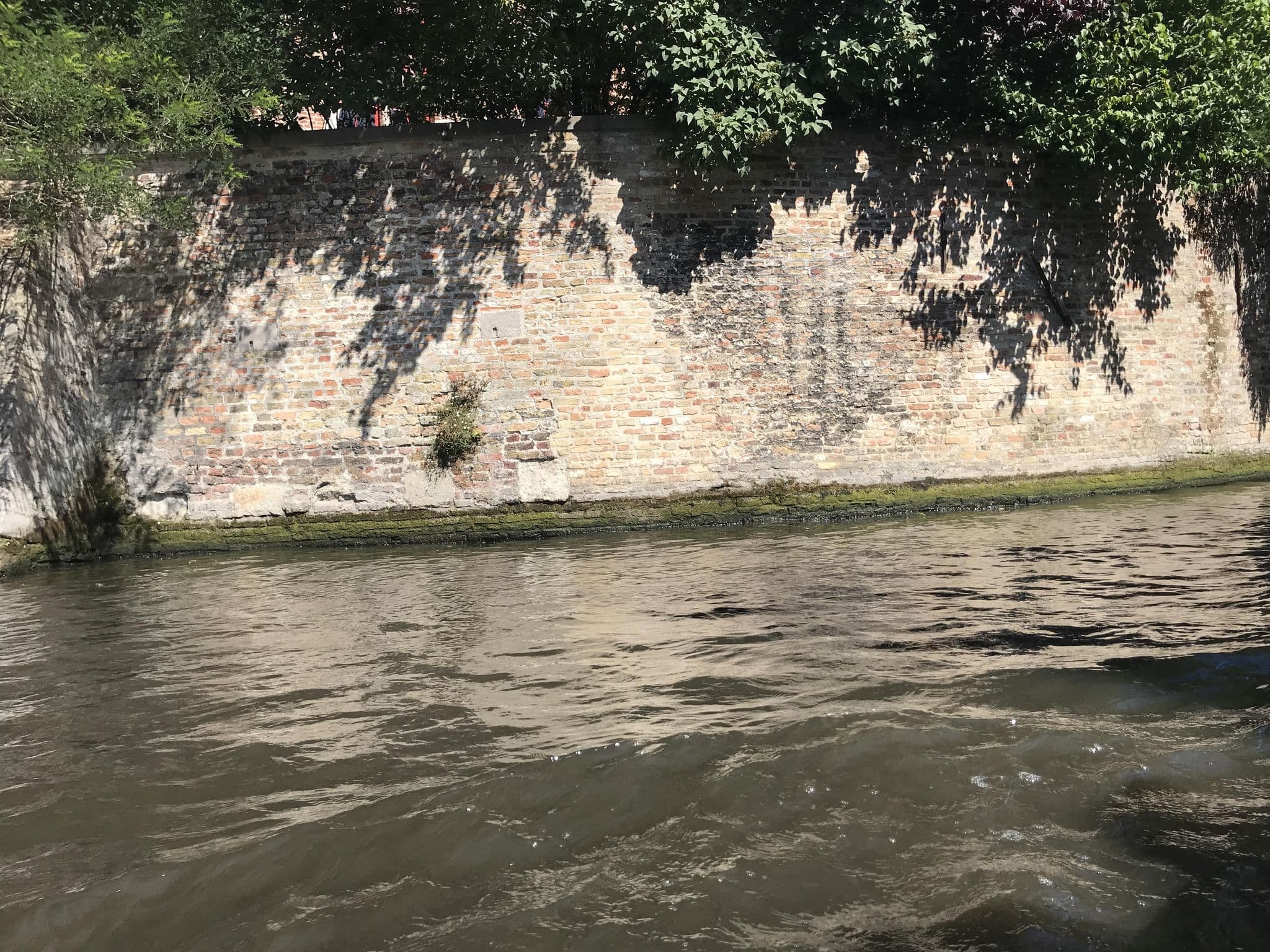 Street view near Duc De Bourgogne, Brugge — © miguel_andrade (CC BY-SA · Mapillary)