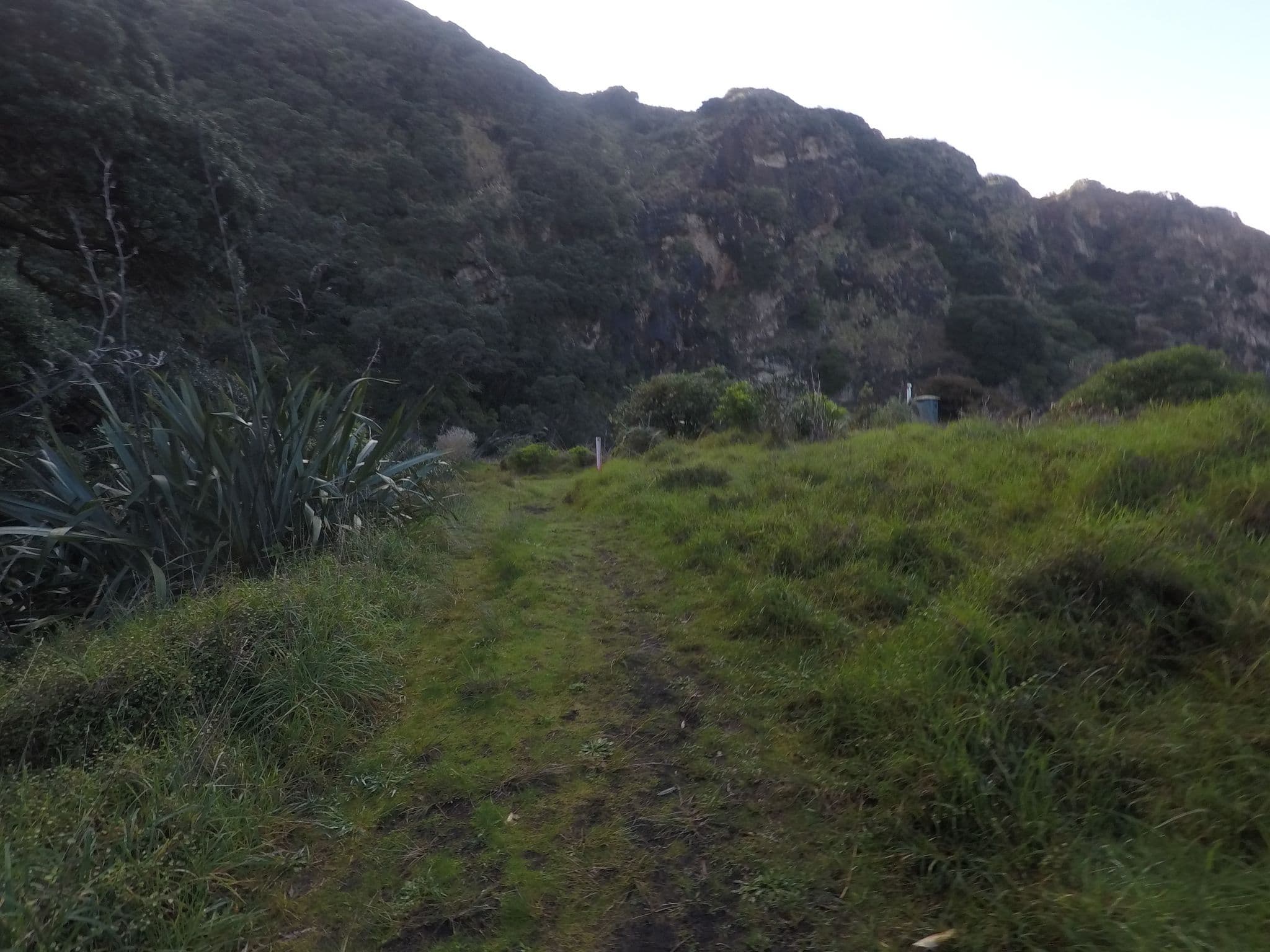 Street view near Tunnel Campsite, Piha — © ralley (CC BY-SA · Mapillary)