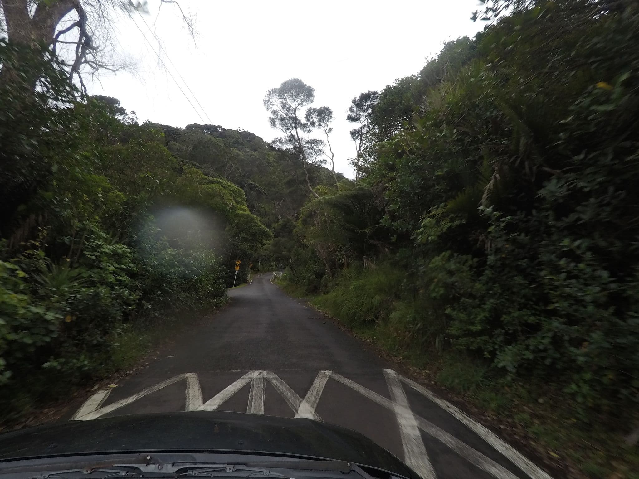 Street view near McCreadies Paddock Campsite, Piha — © ralley (CC BY-SA · Mapillary)