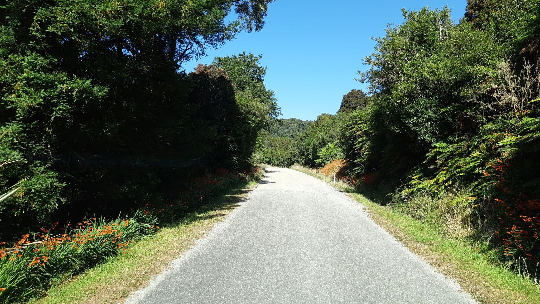 Street view near Goldsborough Campsite, Hokitika