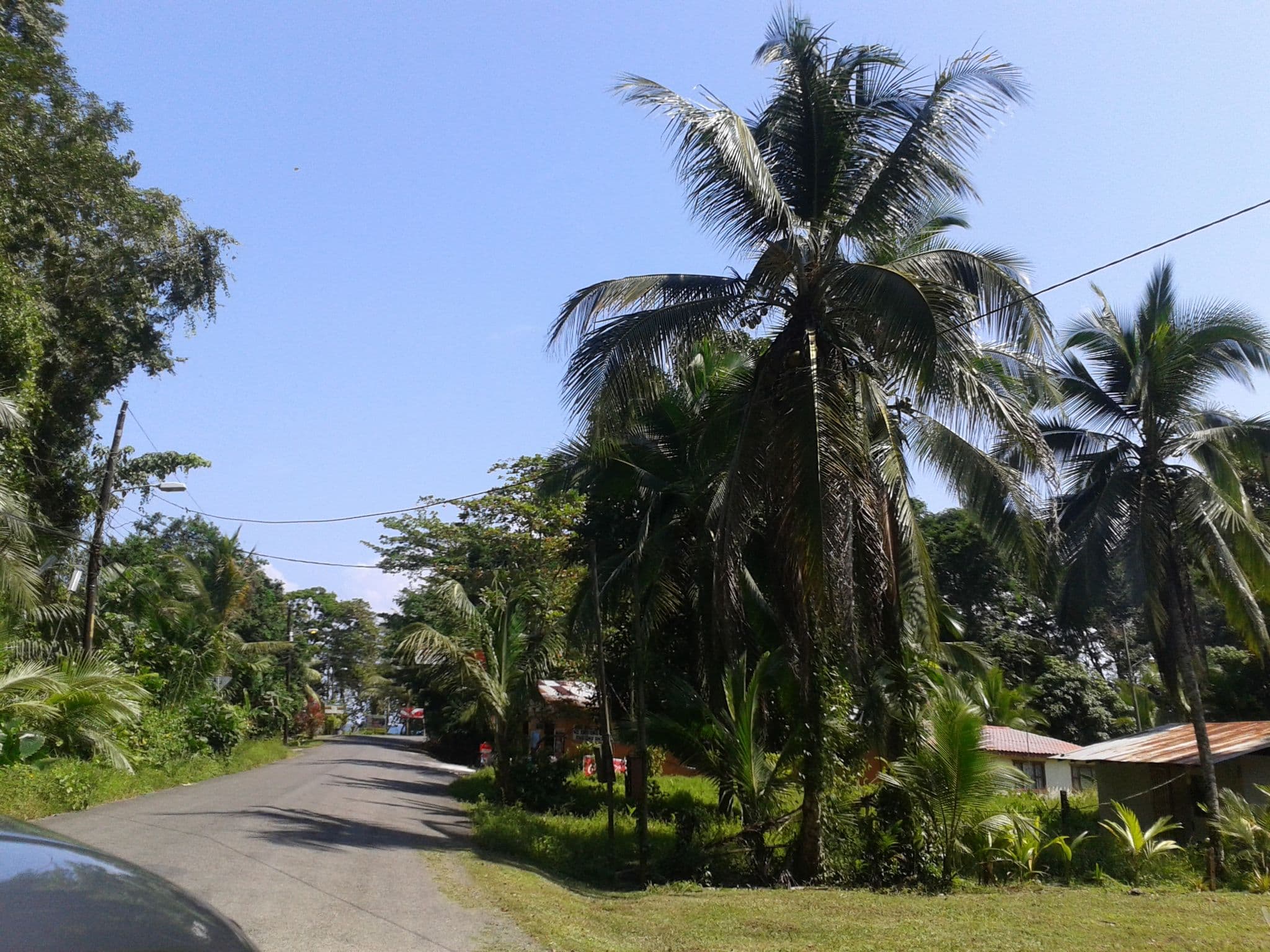 Street view near Cabinas Manzanillo, Barranco — © lupa18 (CC BY-SA · Mapillary)