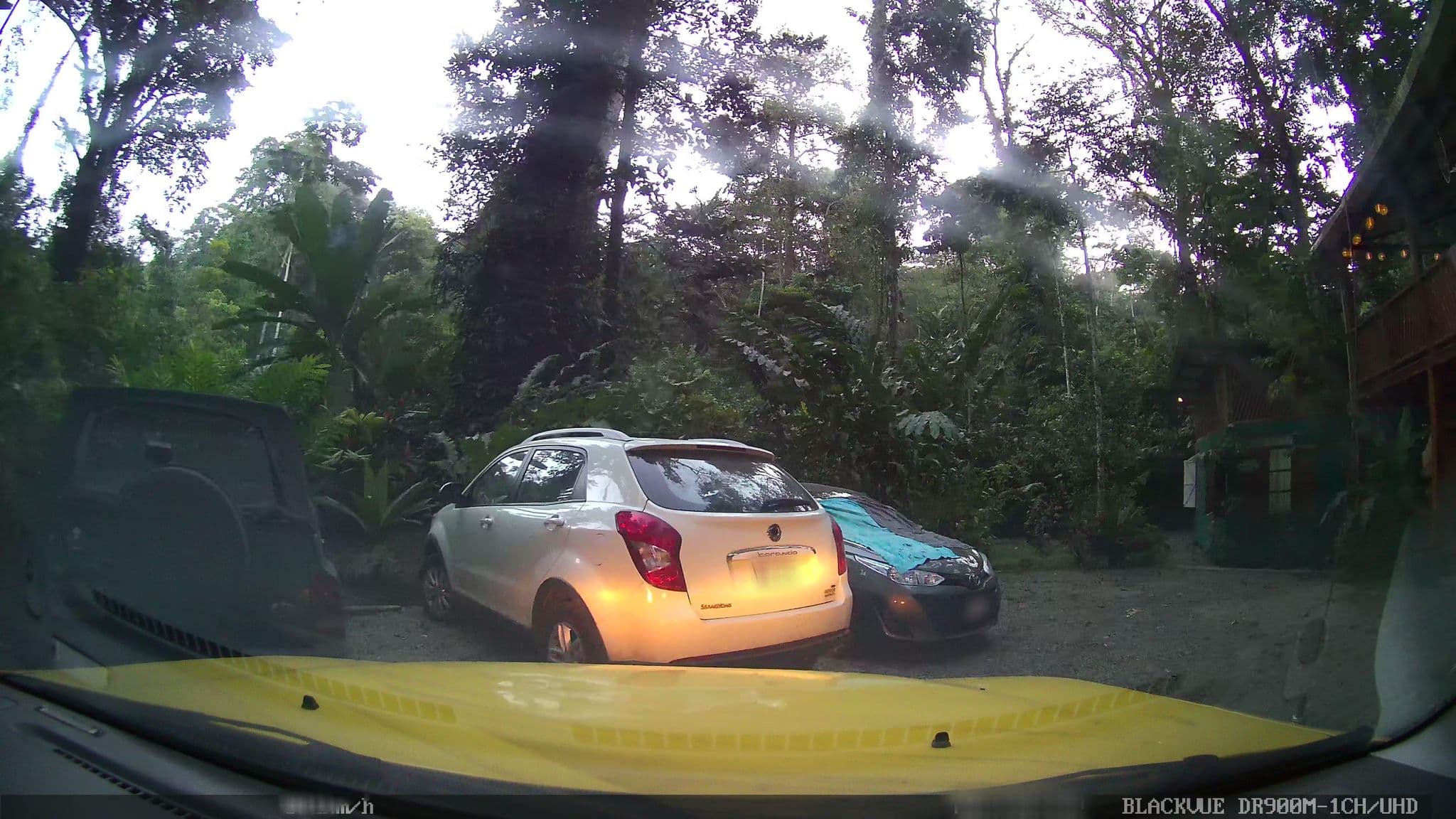 Street view near Jungle Green House, Barranco Adentro — © josealb (CC BY-SA · Mapillary)