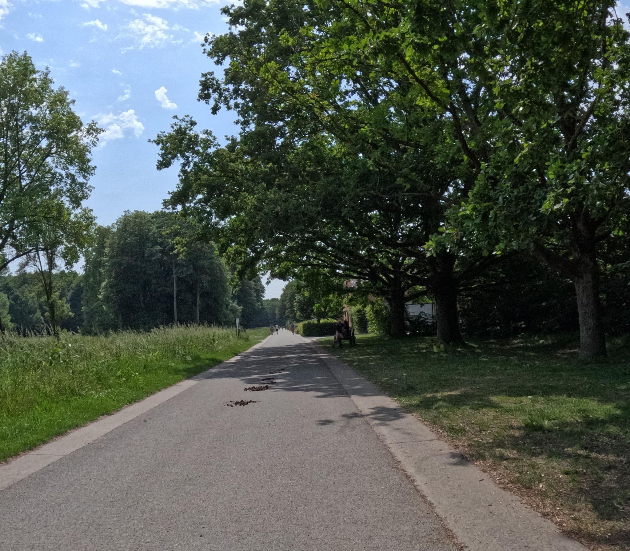 Street view near Vlaamse Trekkershutten, Harelbeke — © jygpronse (CC BY-SA · Mapillary)