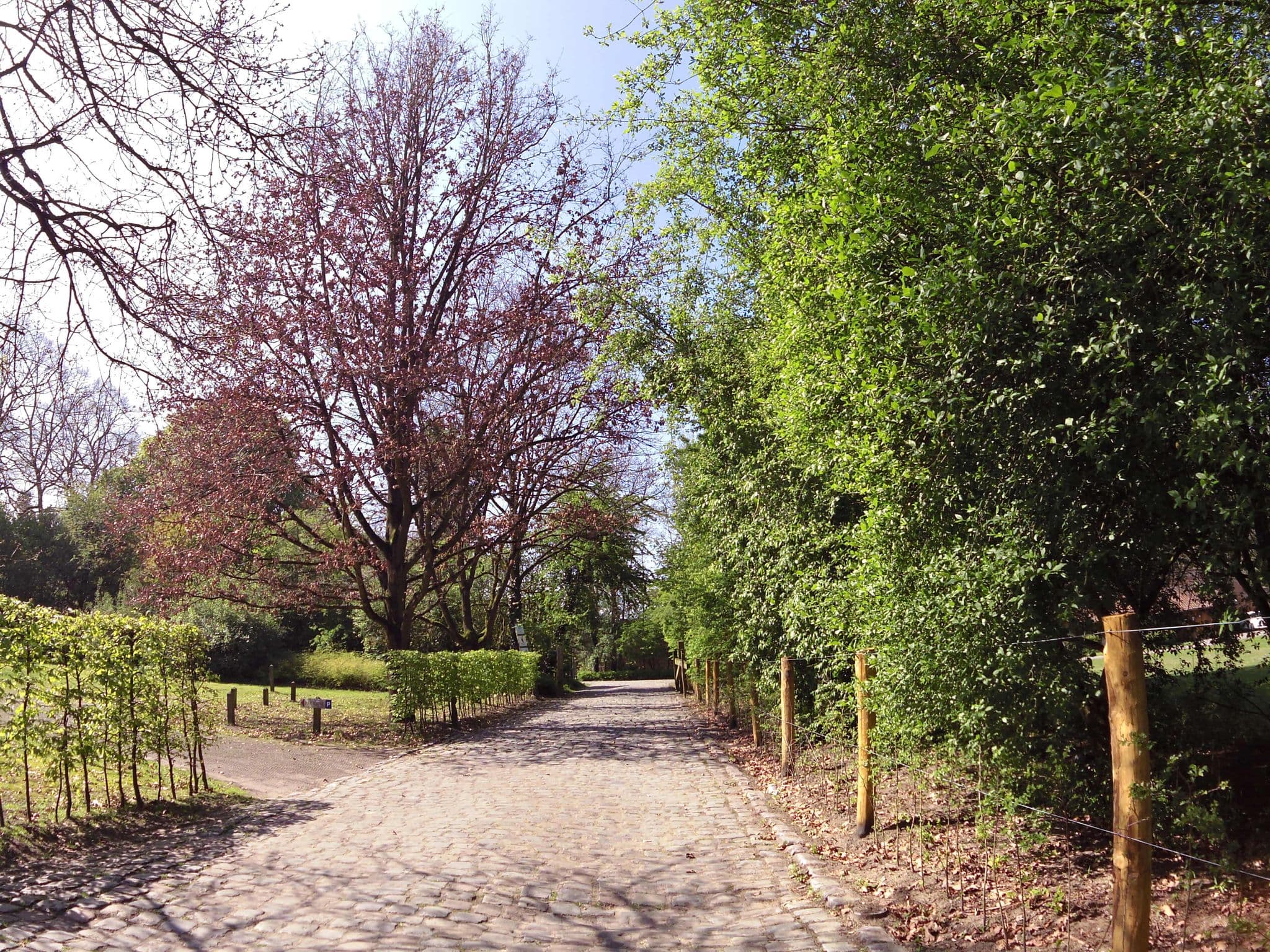 Street view near Roosendael, Walem — © zors1843 (CC BY-SA · Mapillary)