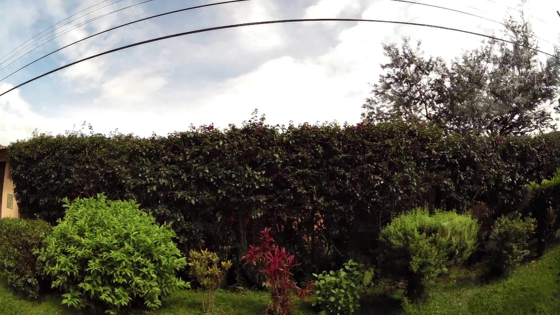 Street view near Casa del Arco Iris, Bajo Boquete — © kaartcam (CC BY-SA · Mapillary)