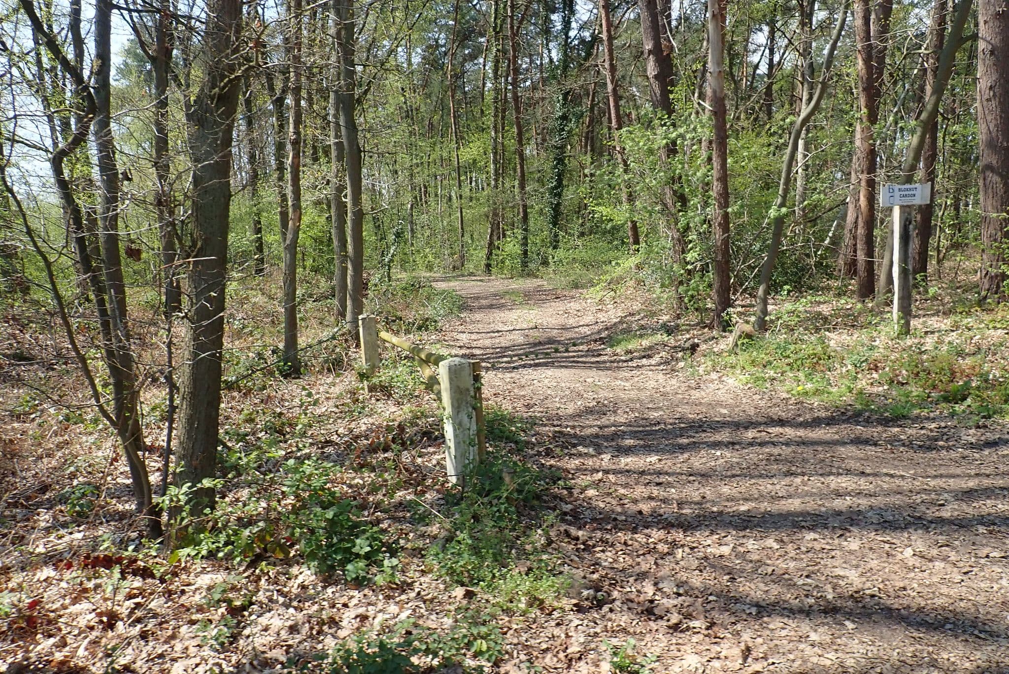Street view near Blokhut Cardon, Wechelderzande — © h4n5antw (CC BY-SA · Mapillary)