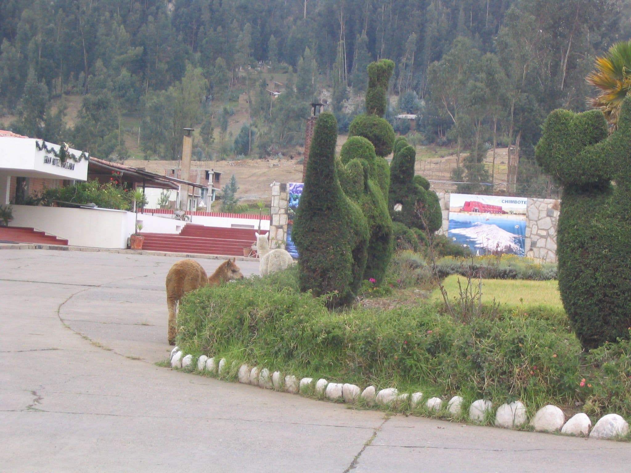 Street view near Real Hotel Huascaran, Centenario — © negro (CC BY-SA · Mapillary)