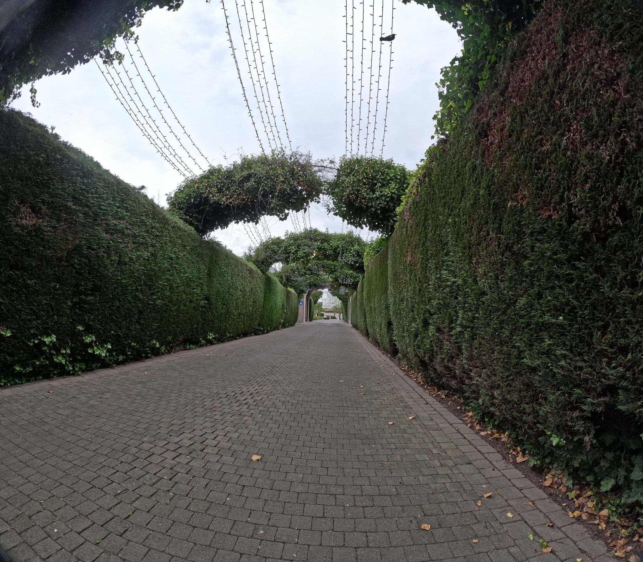 Street view near Cortina, Lauwe — © filipc (CC BY-SA · Mapillary)