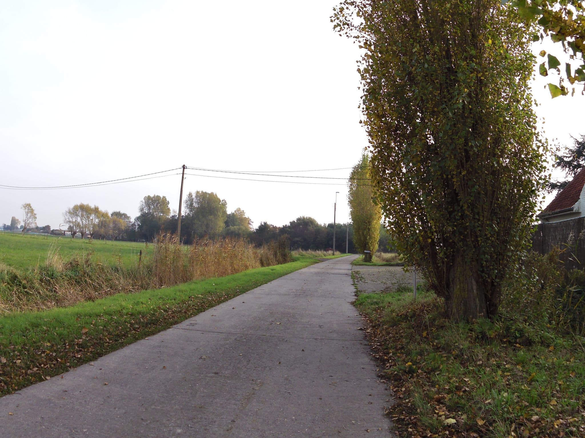 Street view near Huyze Ter Wilgen, Gistel — © zors1843 (CC BY-SA · Mapillary)