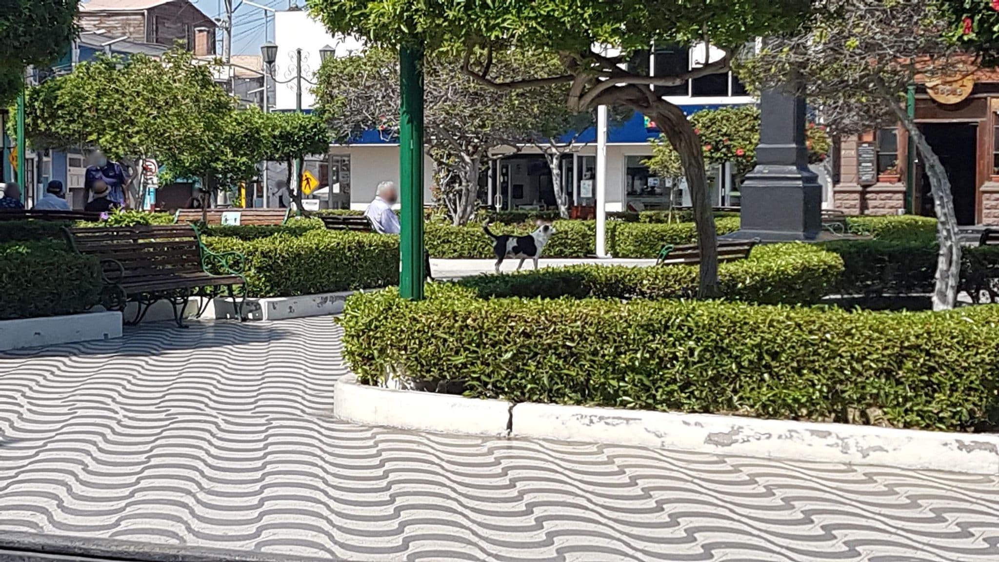Street view near Ada Inn, Mollendo — © RogerRicardoP (CC BY-SA · Mapillary)