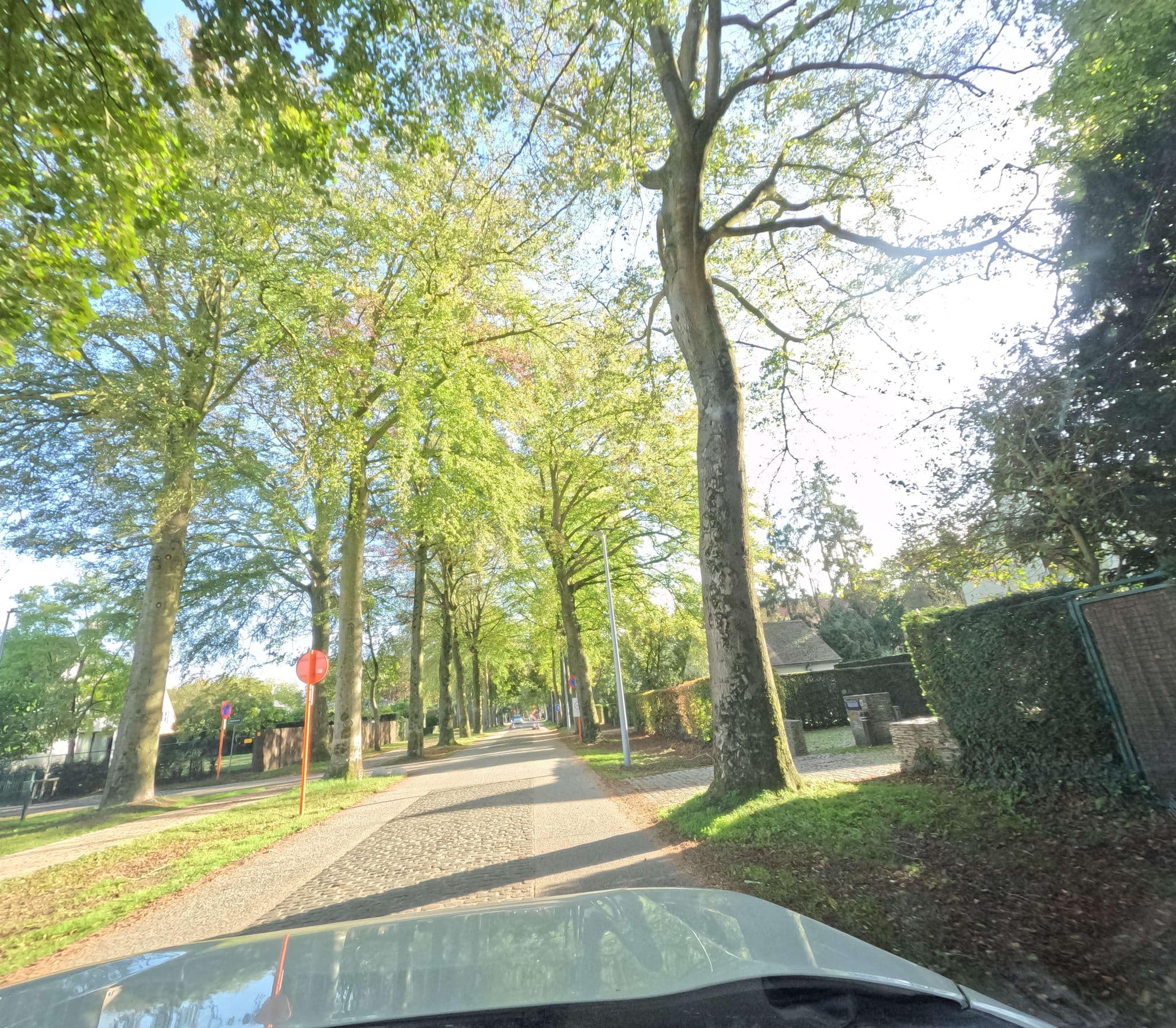 Street view near Lobelia, Sint-Andries — © filipc (CC BY-SA · Mapillary)