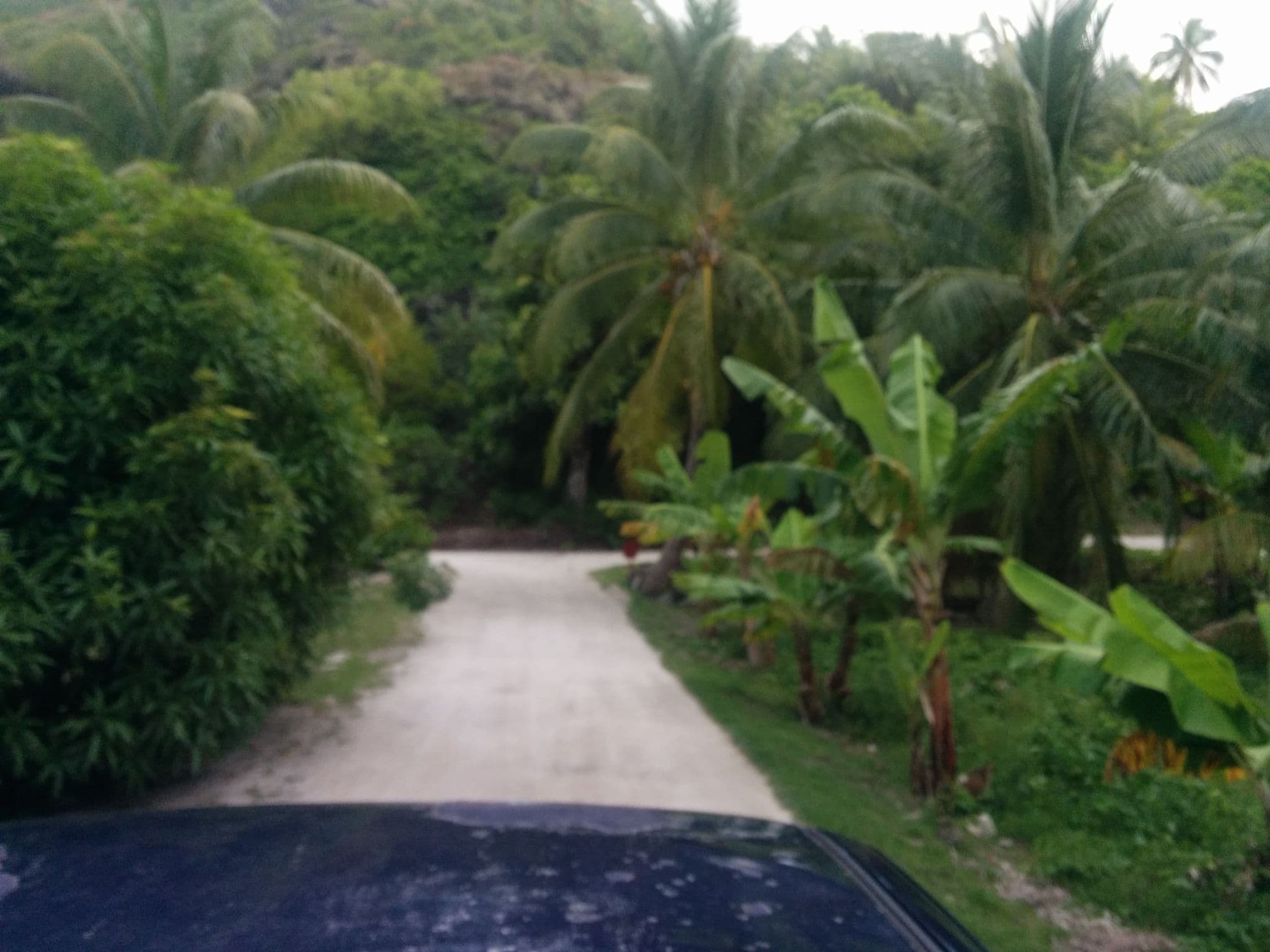 Street view near Pension Espace Beach, Vaitape — © thibdrev (CC BY-SA · Mapillary)