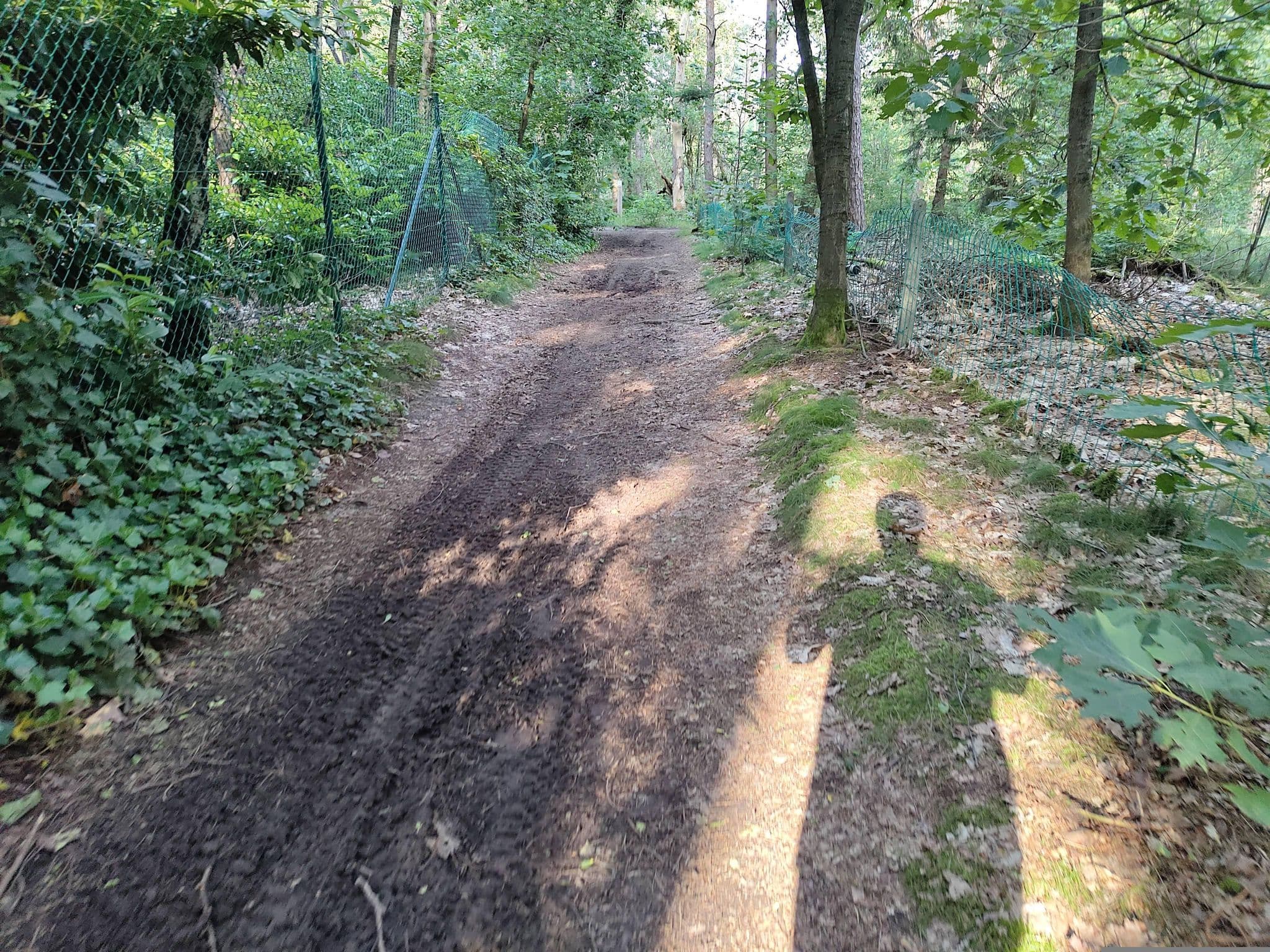 Street view near Treelodge, Retie — © tjorim (CC BY-SA · Mapillary)