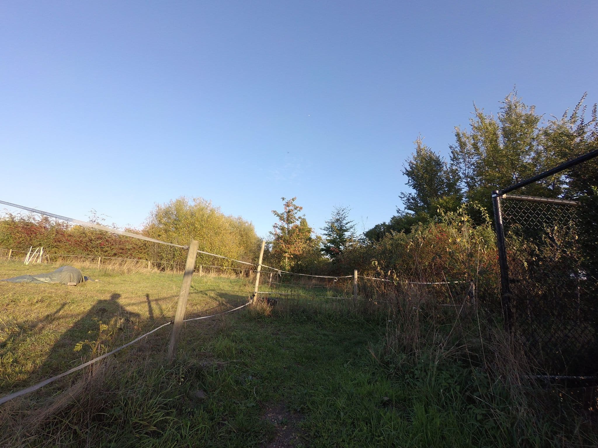 Street view near Kamp Molenzicht, Stabroek — © filipc (CC BY-SA · Mapillary)