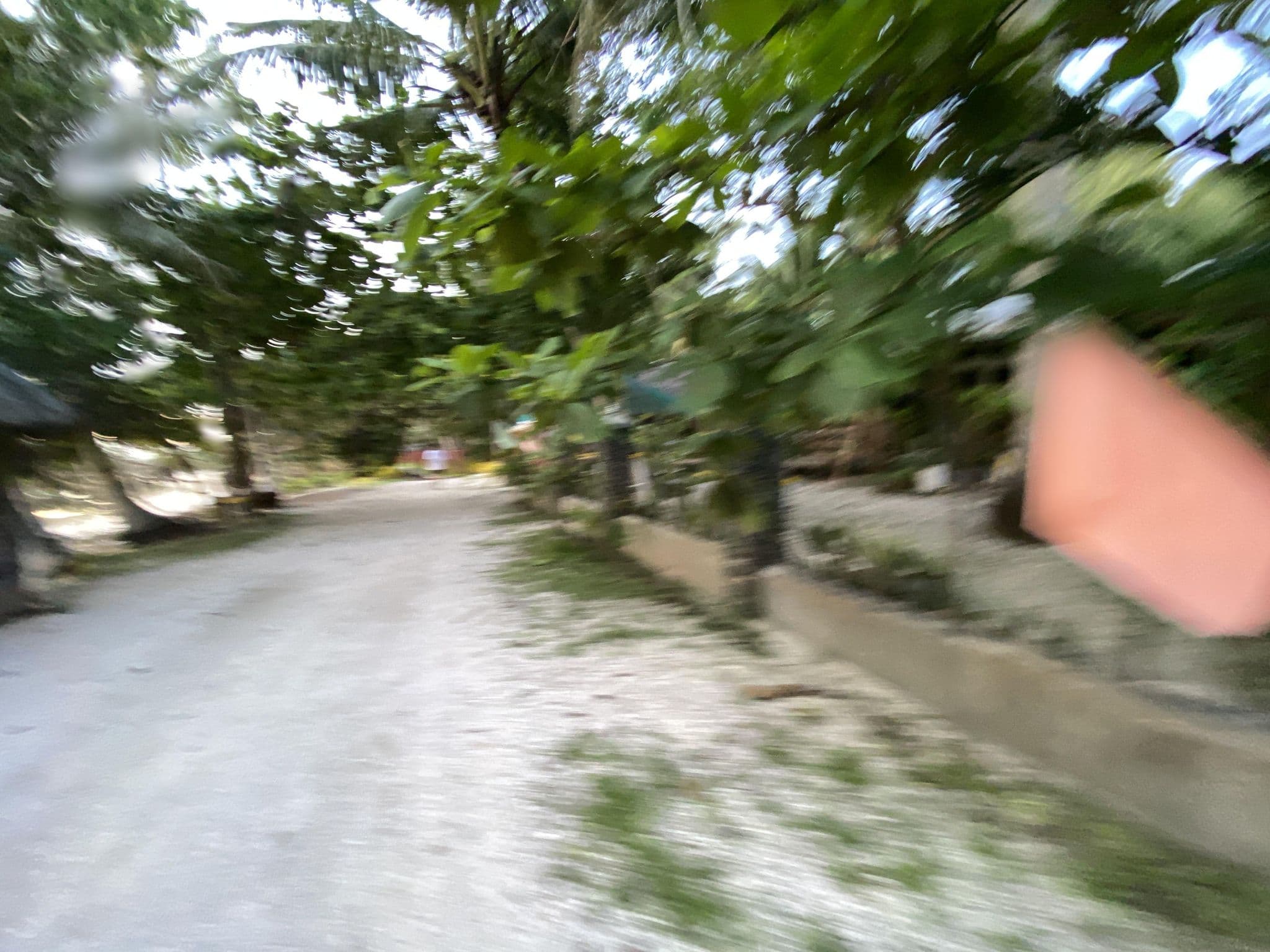 Street view near Binucot Beach Resto Bar, Looc — © ralleon (CC BY-SA · Mapillary)