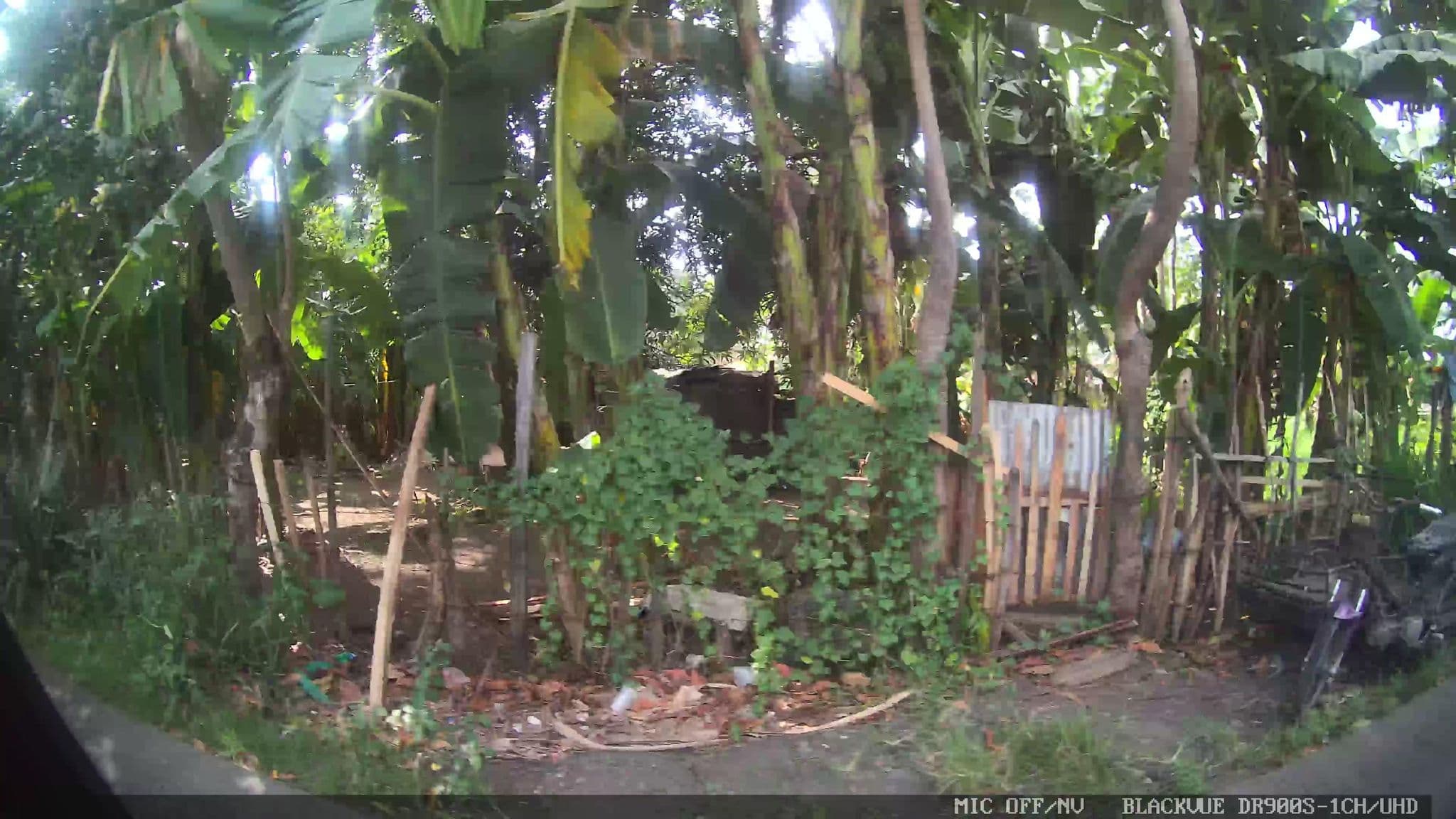 Street view near RLG Swimming Pool Resort, Inawayan — © Kaart---RIGHT (CC BY-SA · Mapillary)