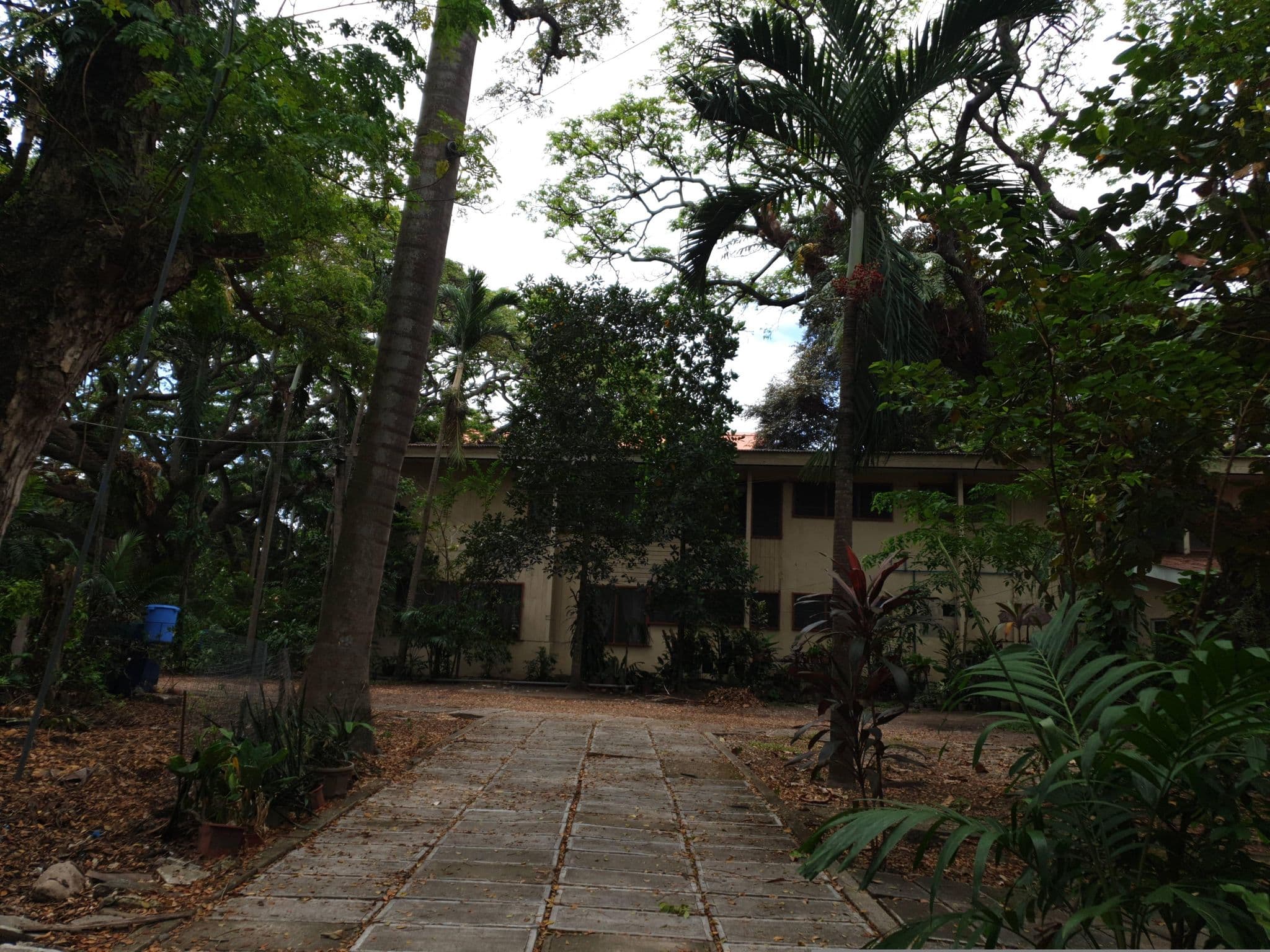 Street view near Silliman University RSA Cottages, Dumaguete — © doodstecsonhere (CC BY-SA · Mapillary)