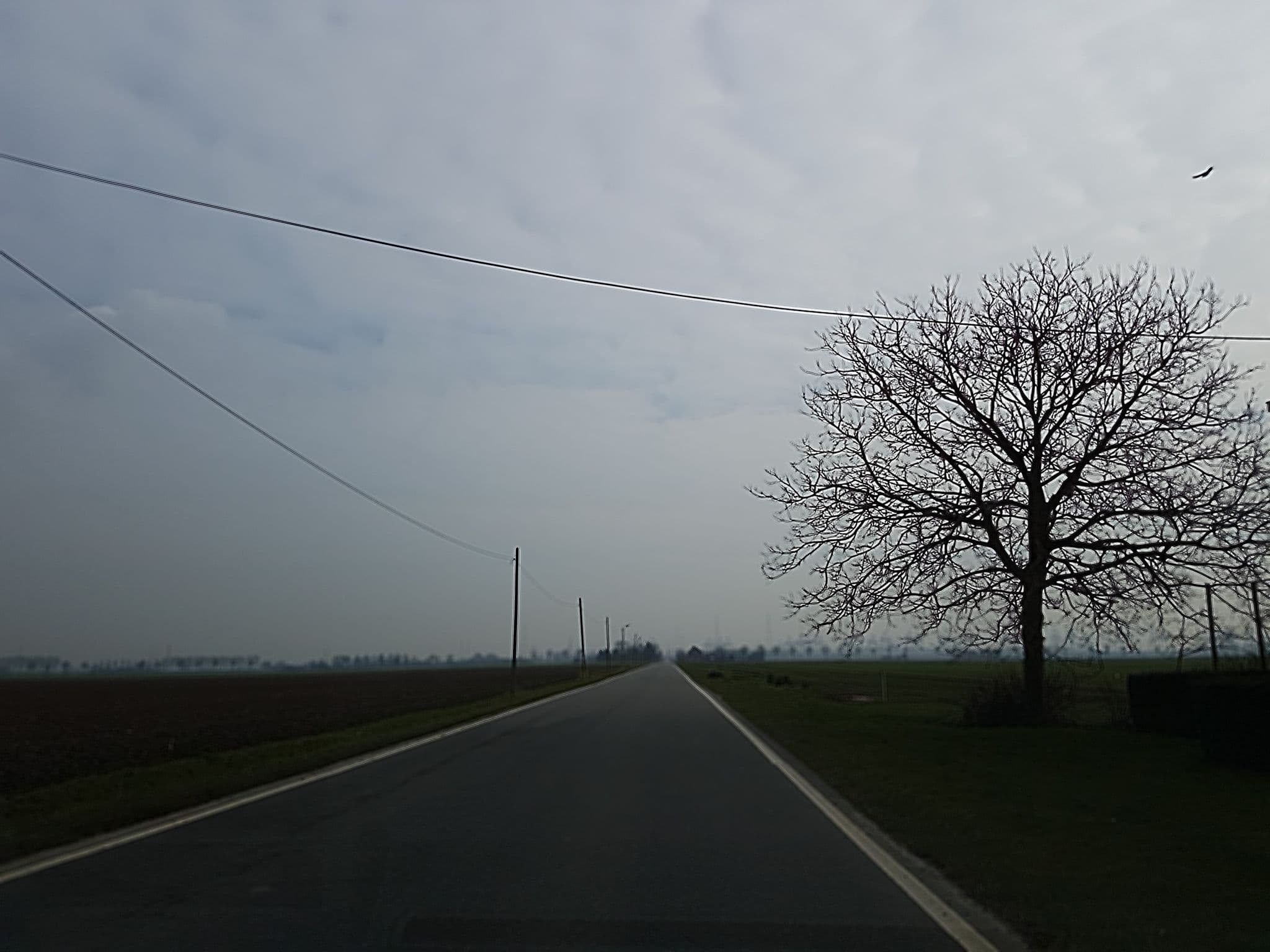 Street view near Arenberghoeve, Kieldrecht — © filipc (CC BY-SA · Mapillary)