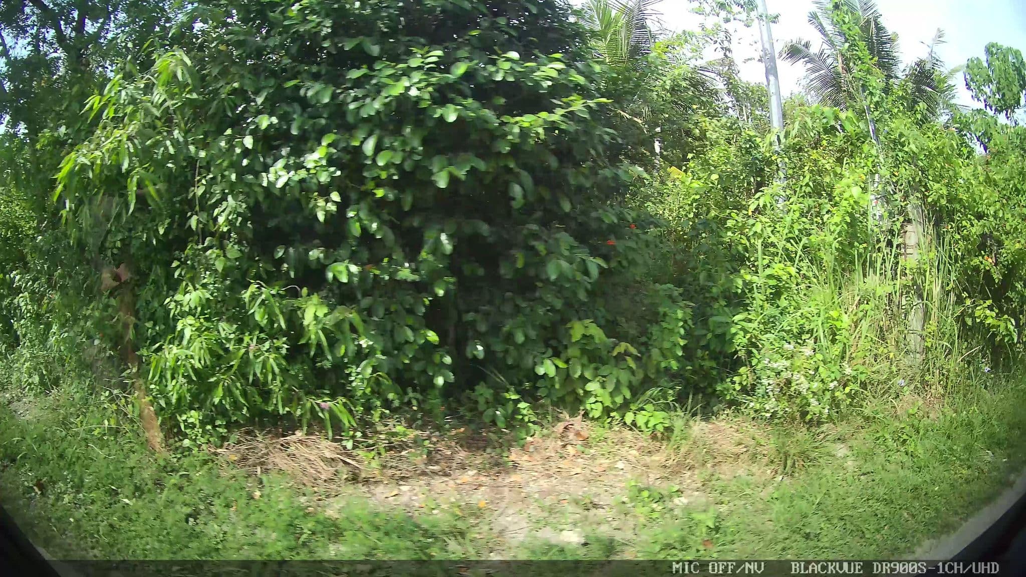 Street view near The Nomad Moalboal, Basdiot — © Kaart---RIGHT (CC BY-SA · Mapillary)