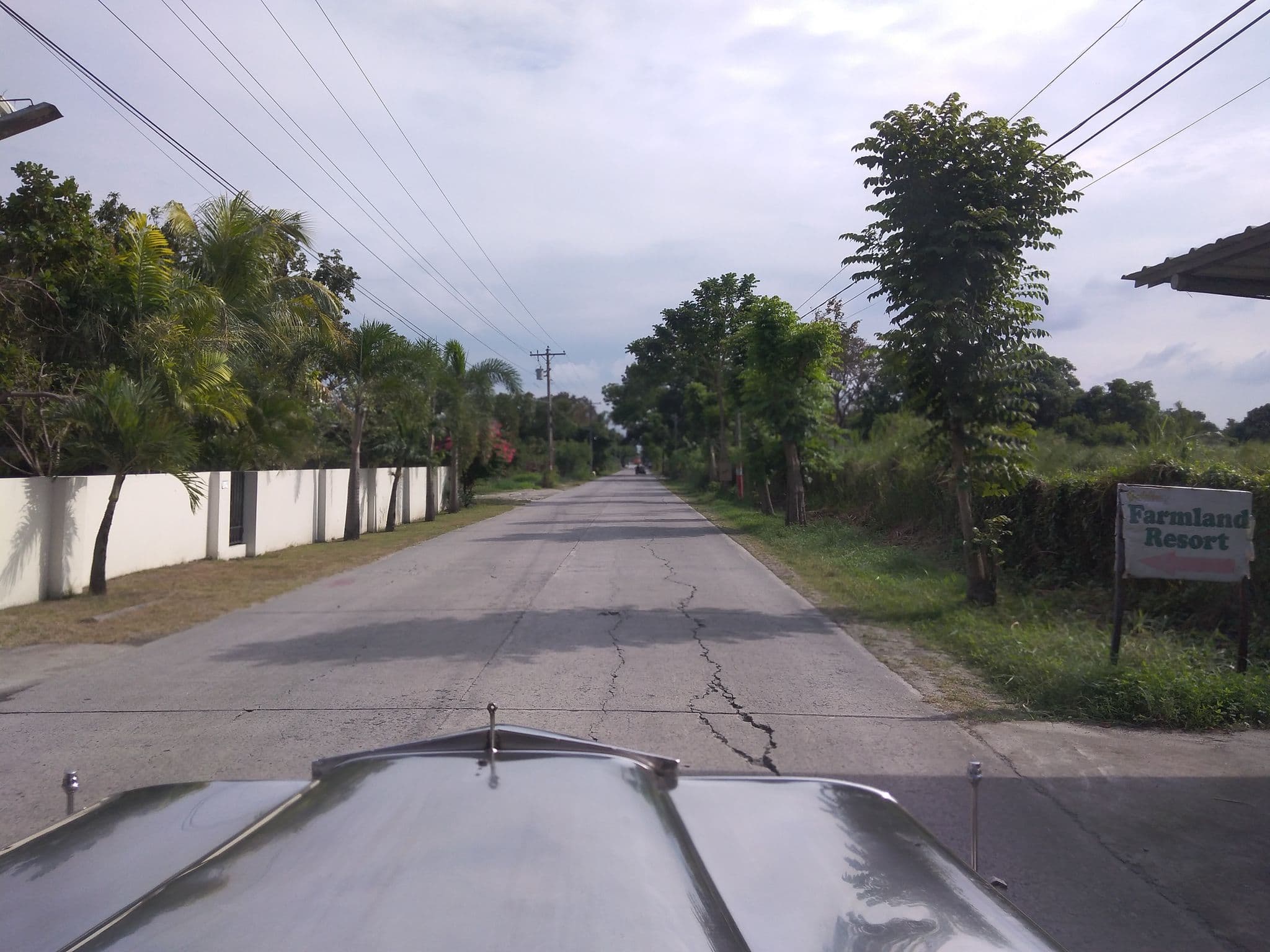 Street view near Farmland Resort, San Patricio — © mdgabriel (CC BY-SA · Mapillary)