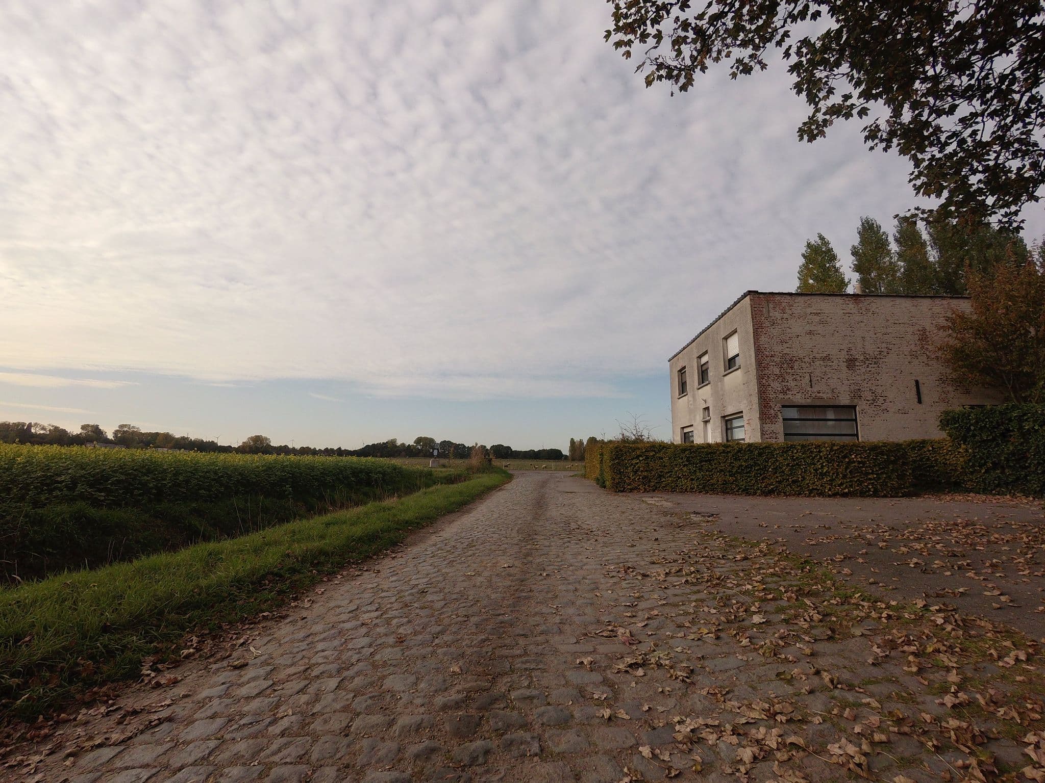 Street view near HVN10, Stabroek — © filipc (CC BY-SA · Mapillary)
