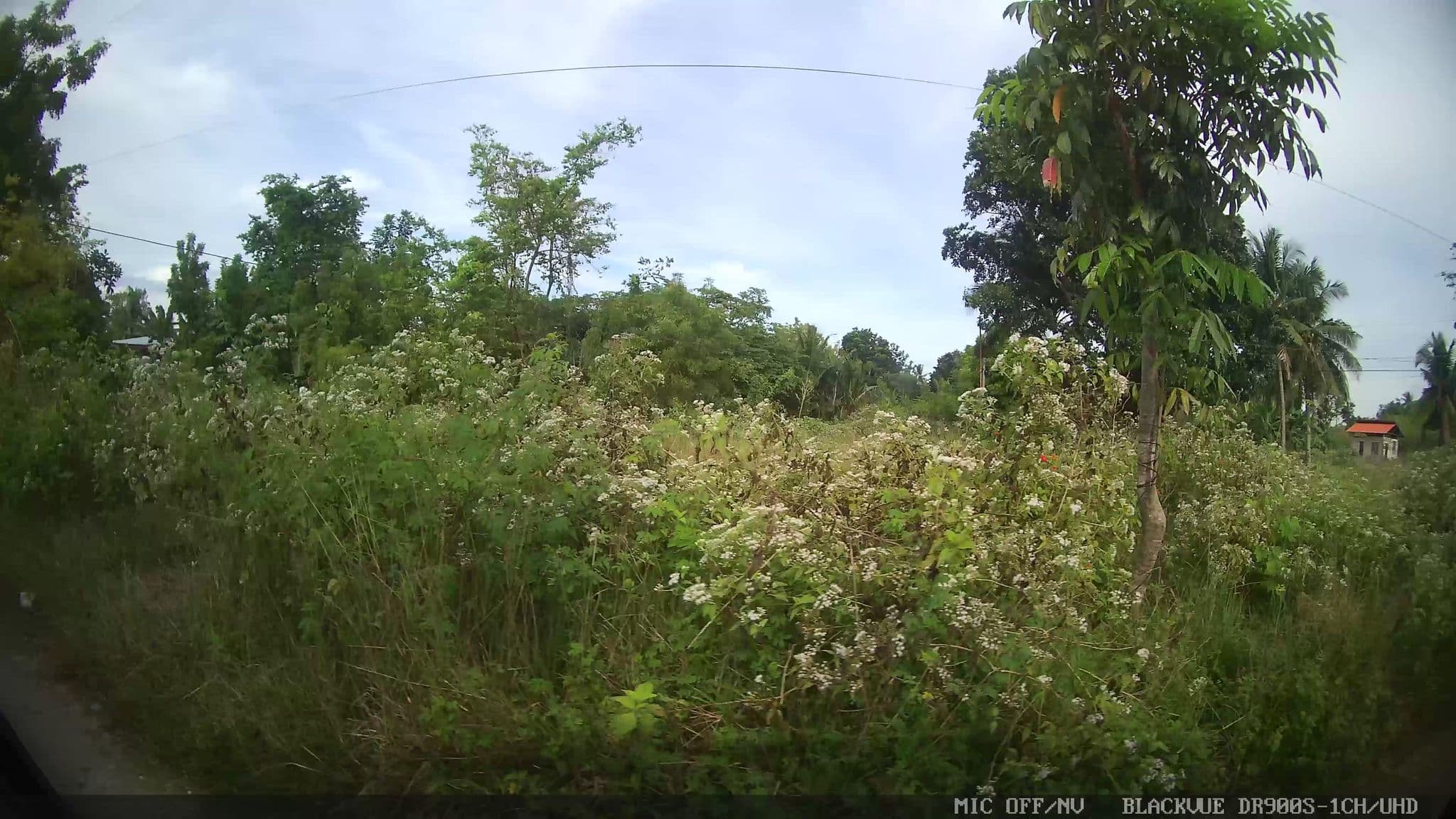 Street view near Tongo Pointe, Basdiot — © Kaart---LEFT (CC BY-SA · Mapillary)