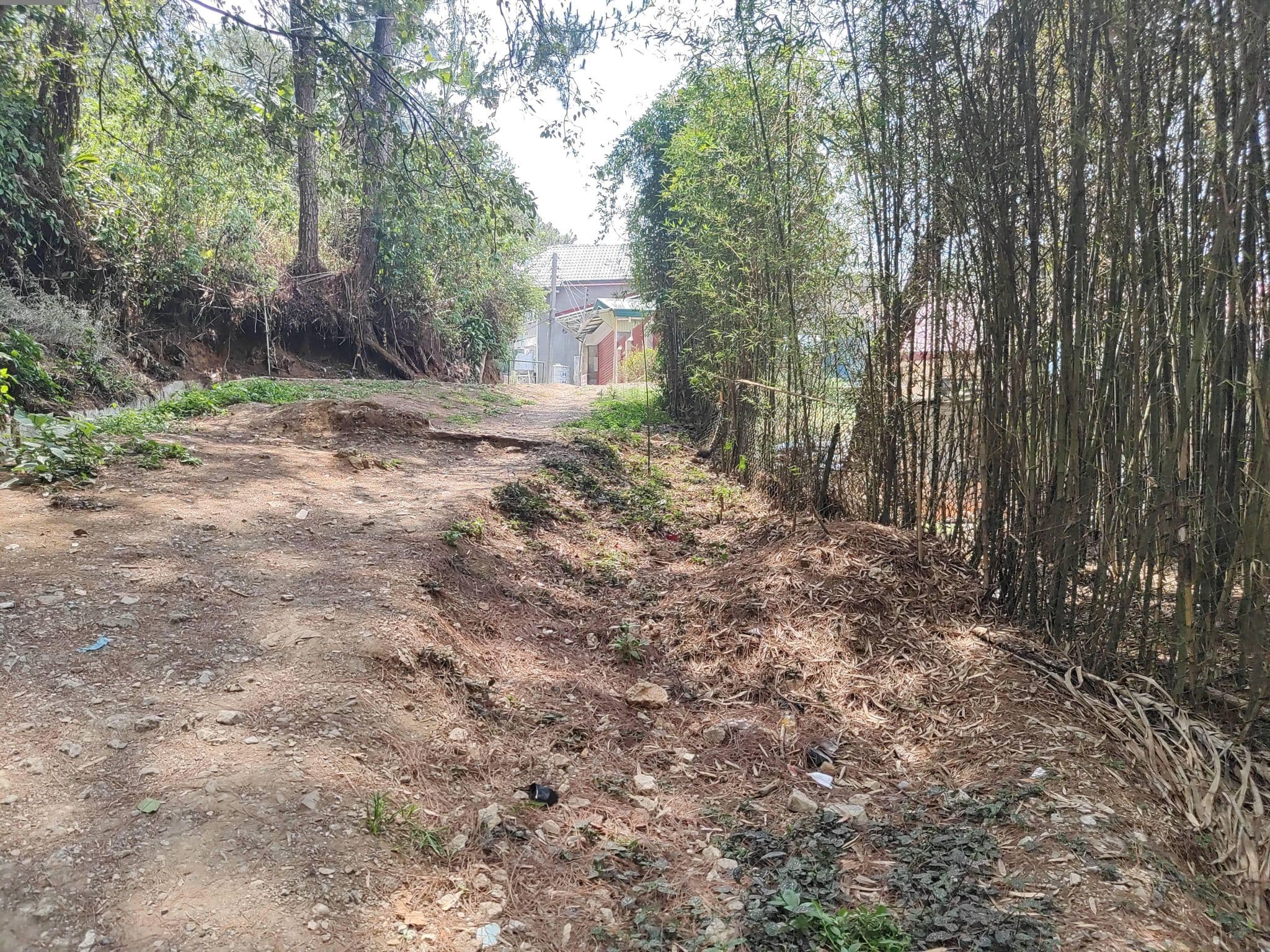 Street view near Tipid Camp Baguio, Baguio — © xedetrix (CC BY-SA · Mapillary)