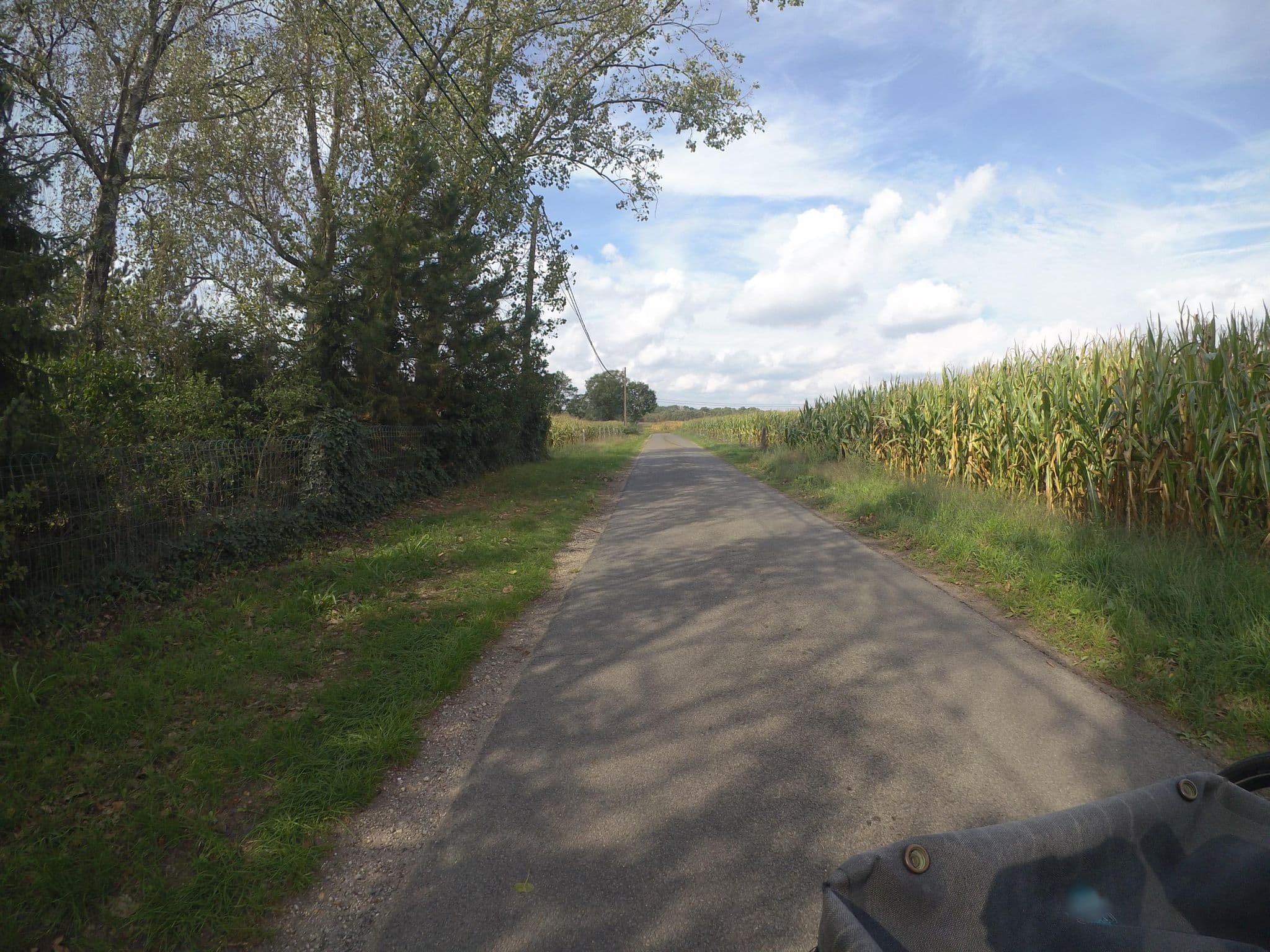 Street view near De Luyshoeve, Bocholt — © marczoutendijk (CC BY-SA · Mapillary)