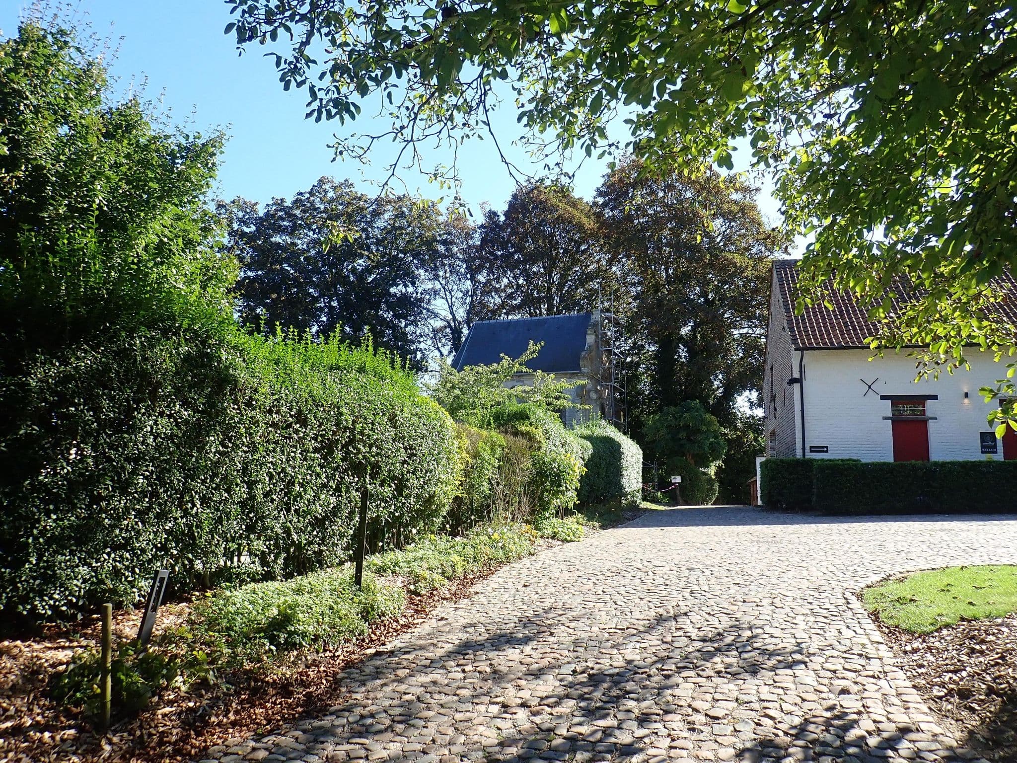 Street view near B&B Amelhof, Meise — © h4n5antw (CC BY-SA · Mapillary)