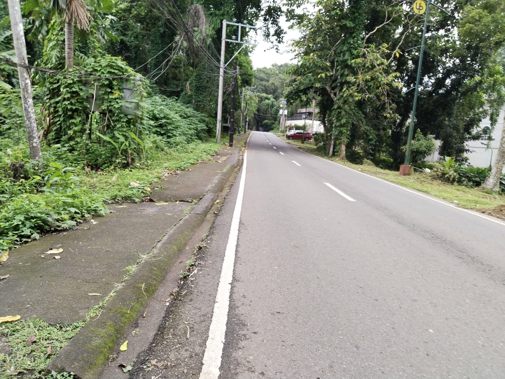 Street view near UPOU Guesthouse, Los Baños — © Liannnn (CC BY-SA · Mapillary)