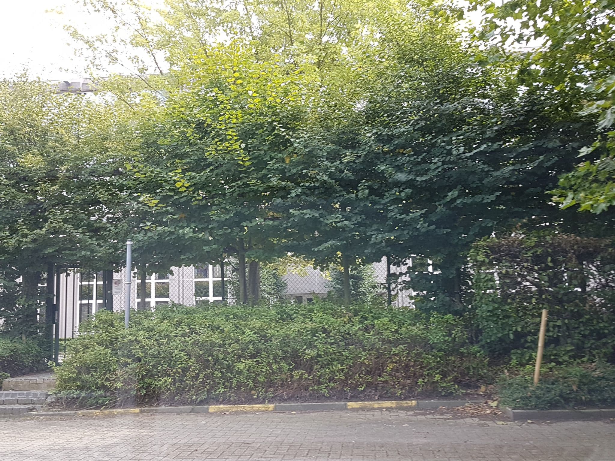 Street view near Holiday Inn Express Brussels - Airport, Diegem — © filipc (CC BY-SA · Mapillary)