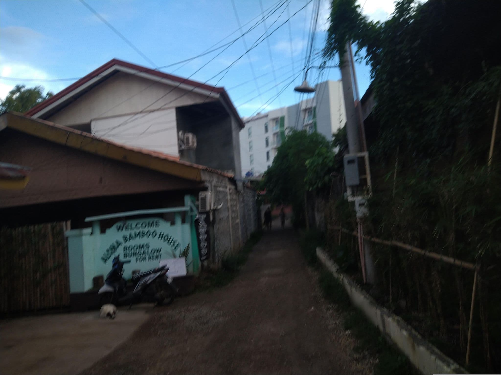 Street view near Alona Bamboo House, Tawala