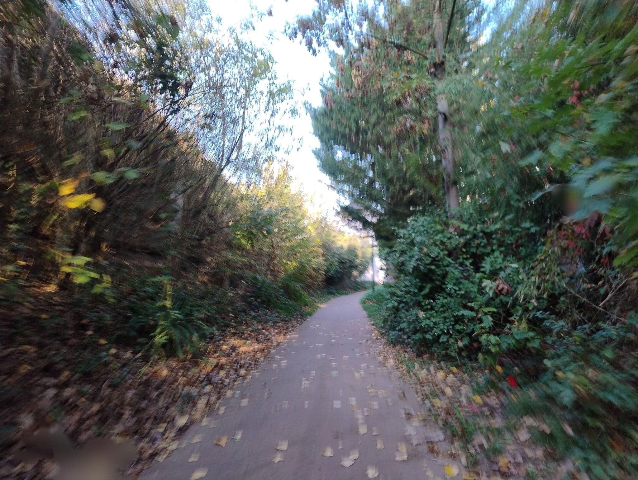 Street view near Hotel Groenendaal, Hoeilaart — © polyglot (CC BY-SA · Mapillary)