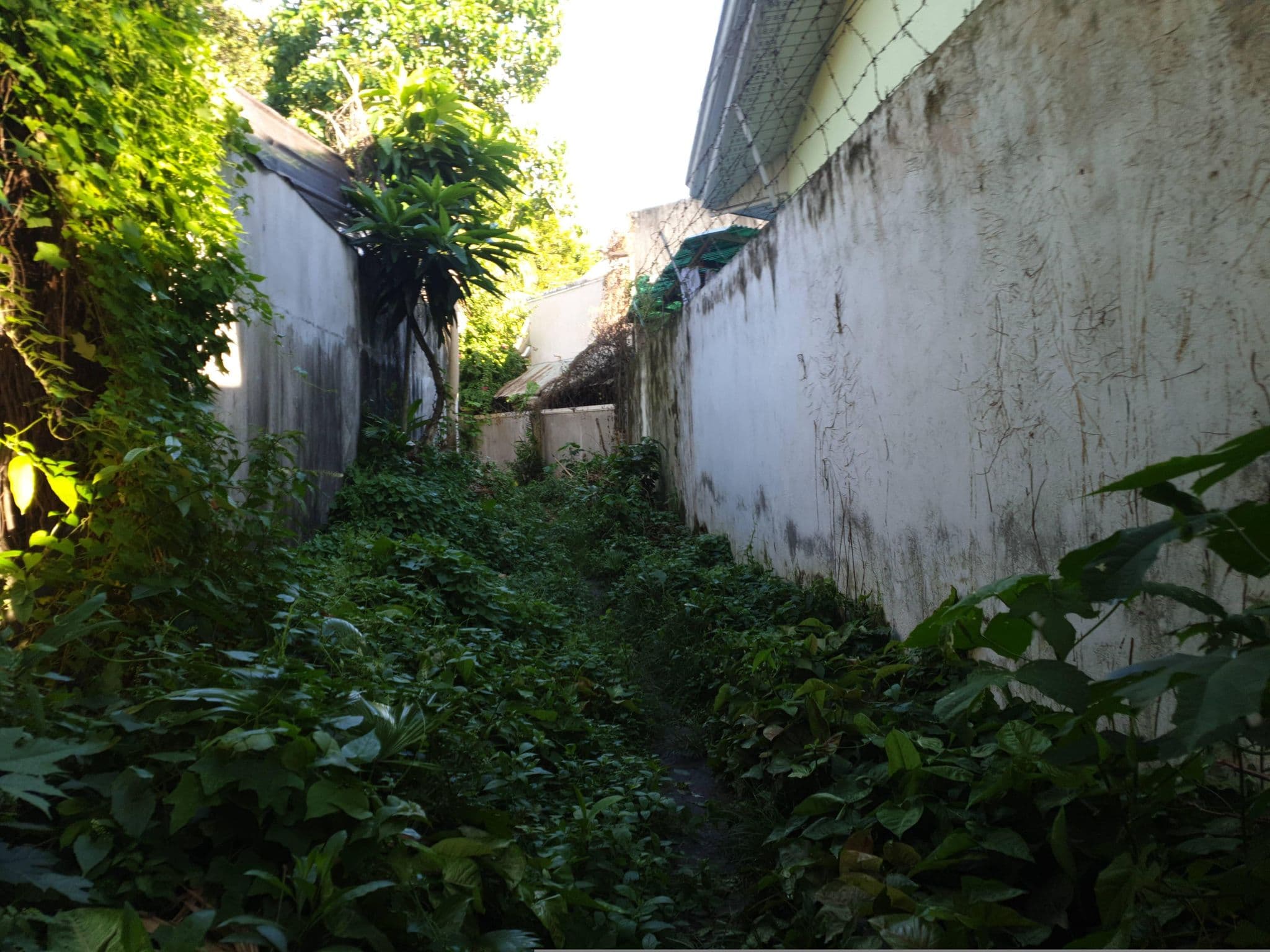 Street view near Ducky's Garden Inn, Dumaguete — © doodstecsonhere (CC BY-SA · Mapillary)