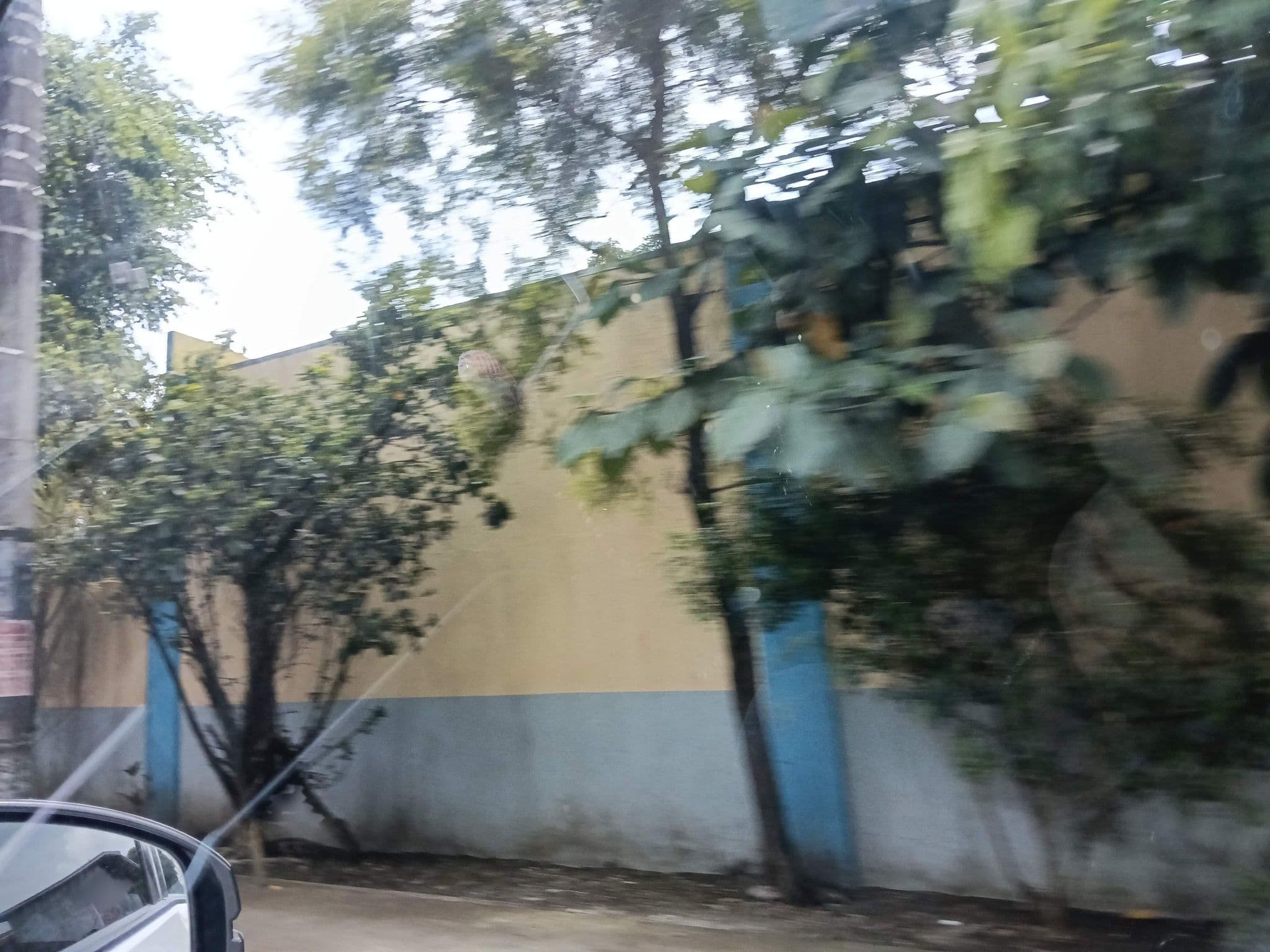 Street view near New Paradise Motorist Lodge, Lipa City — © RandomLipeno (CC BY-SA · Mapillary)