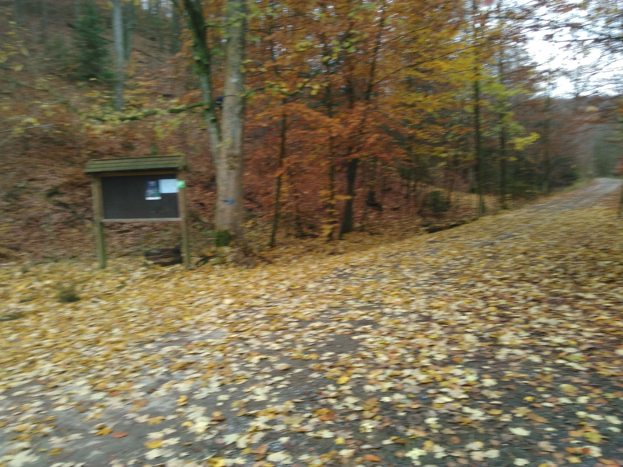 Street view near Pavillon Forestier du Laid Trou, Nassogne — © bhiker (CC BY-SA · Mapillary)