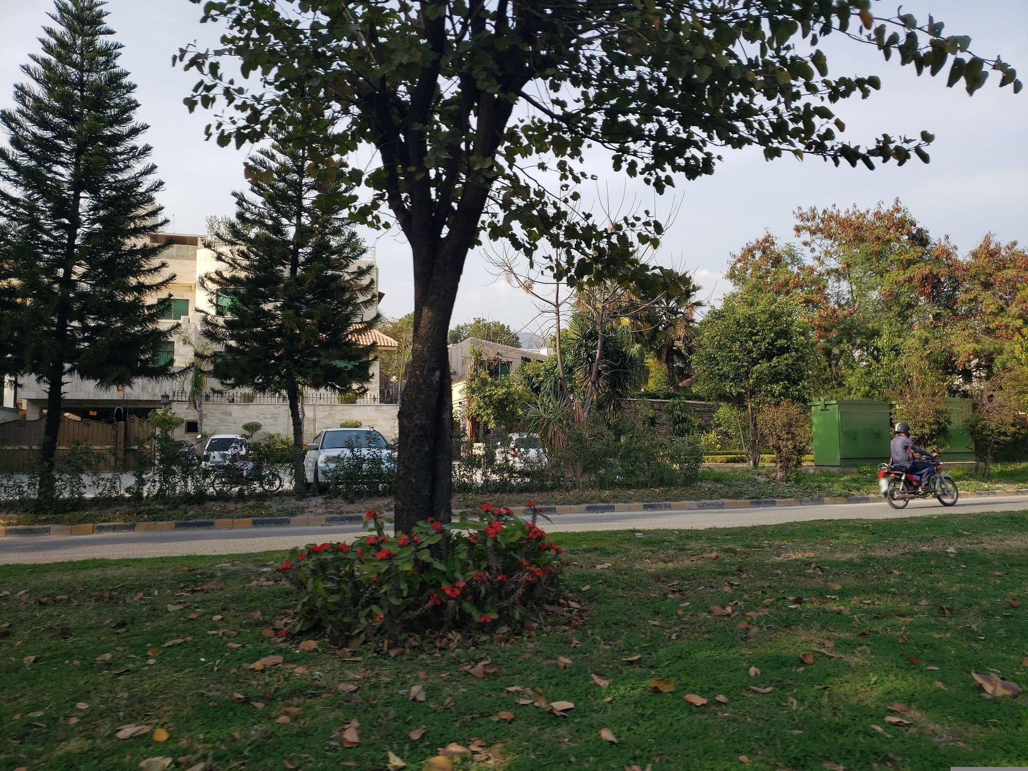 Street view near Sonnet Guest House, Saidpur — © mapfool (CC BY-SA · Mapillary)